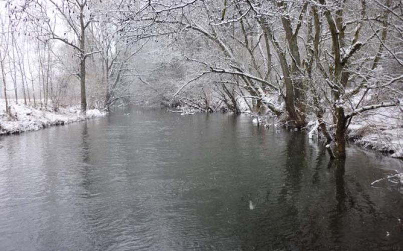 Naturhäuschen in Bettingen