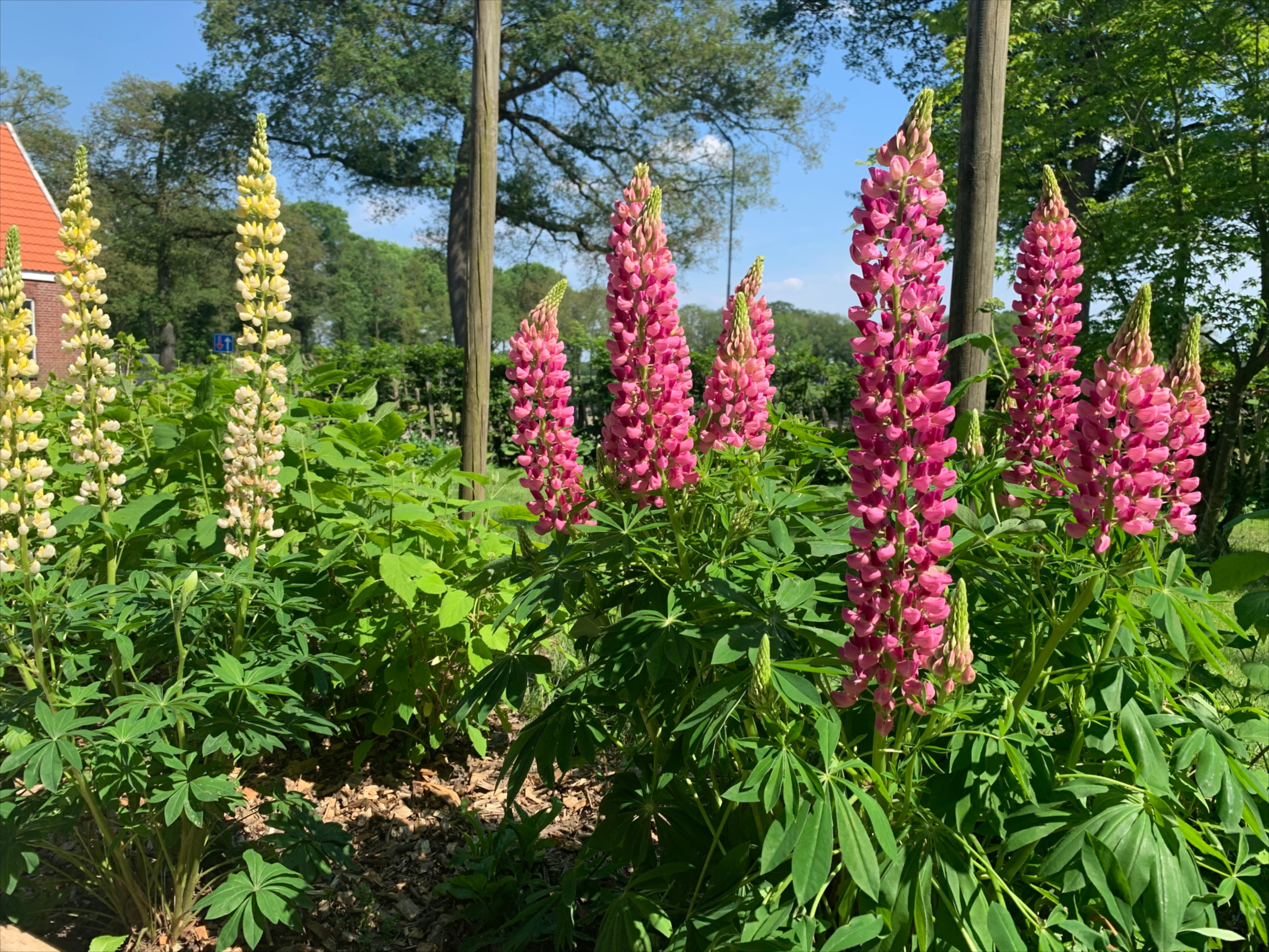 Natuurhuisje in Corle
