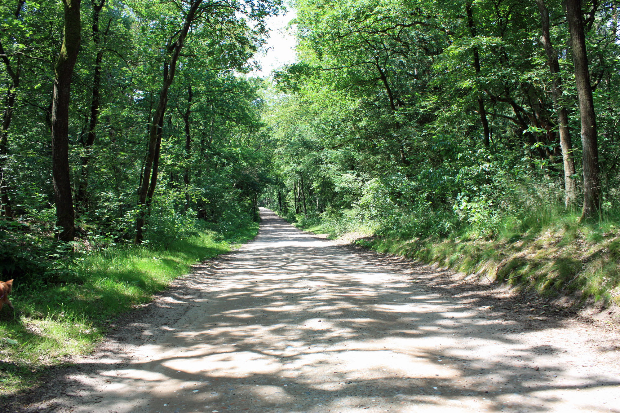 - image: 14