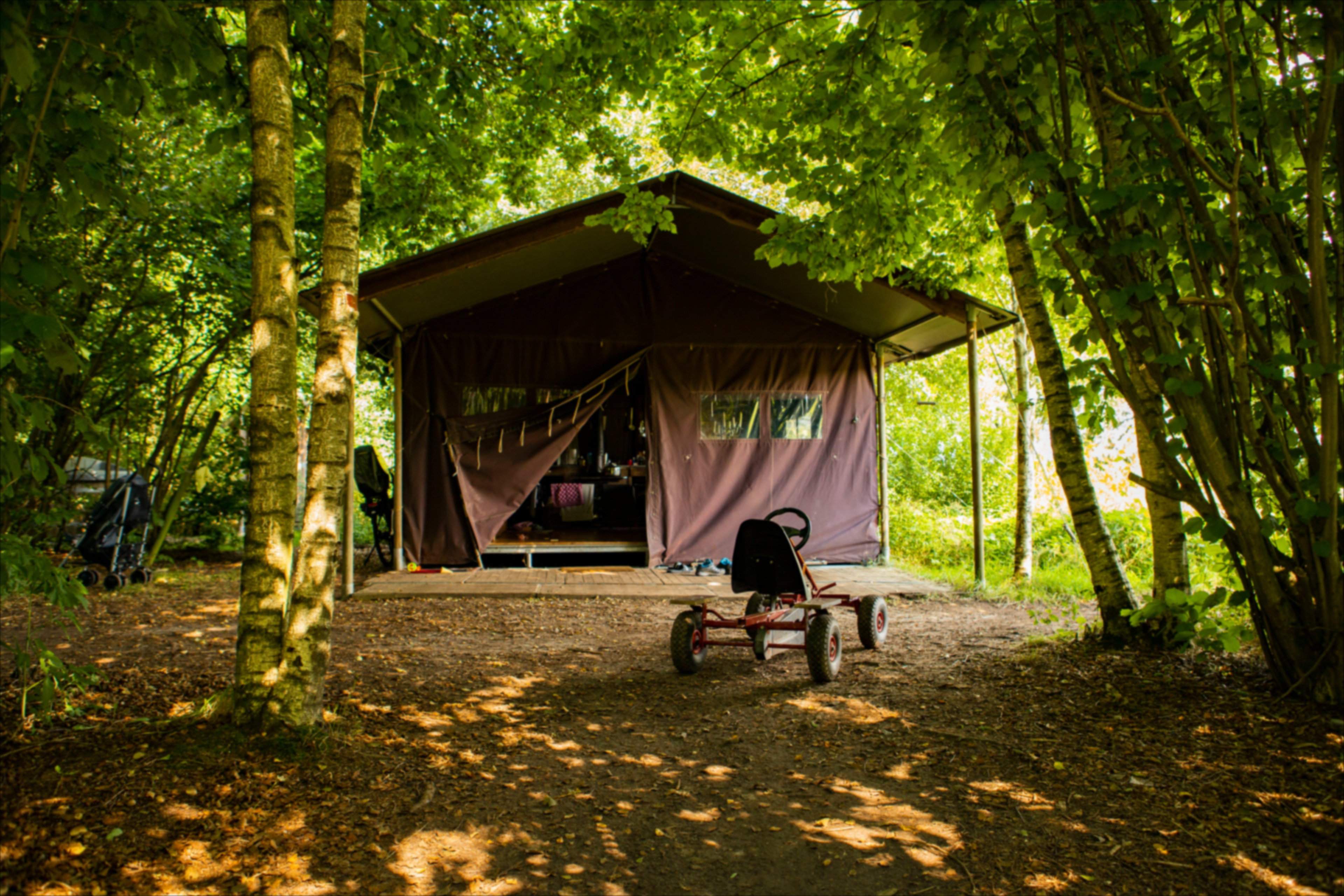 Naturhäuschen in Dwingeloo