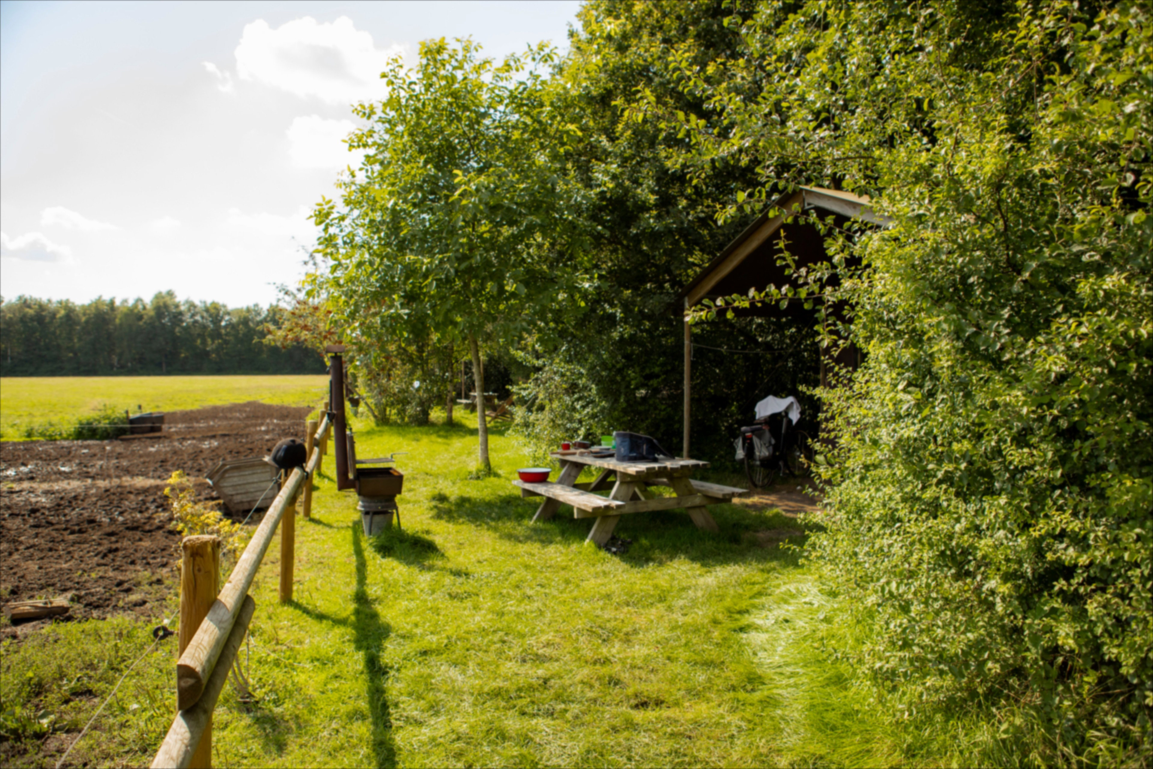 Naturhäuschen in Dwingeloo