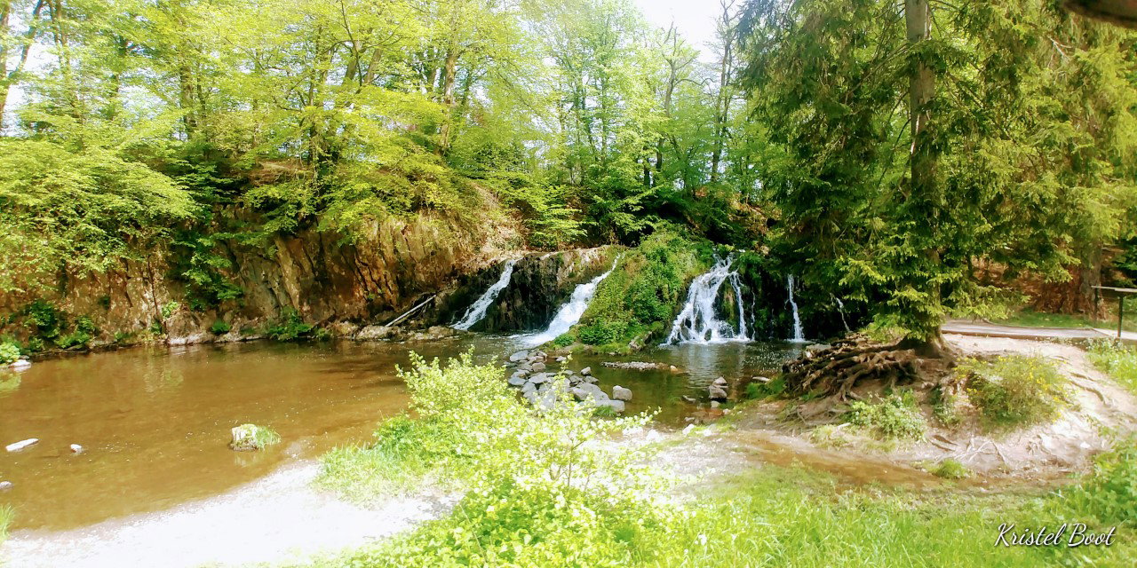 - image: 15