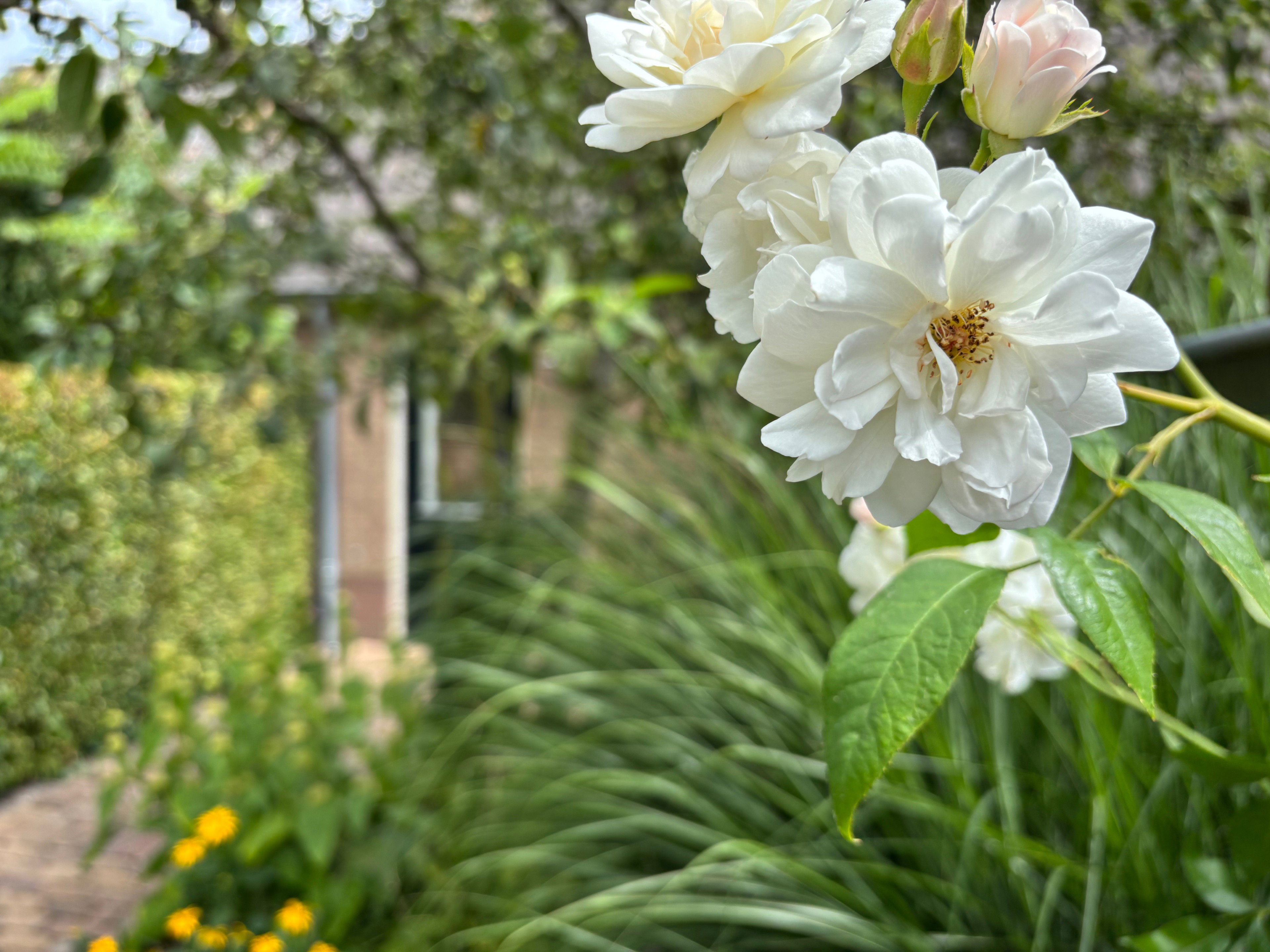 Natuurhuisje in Beemte Broekland