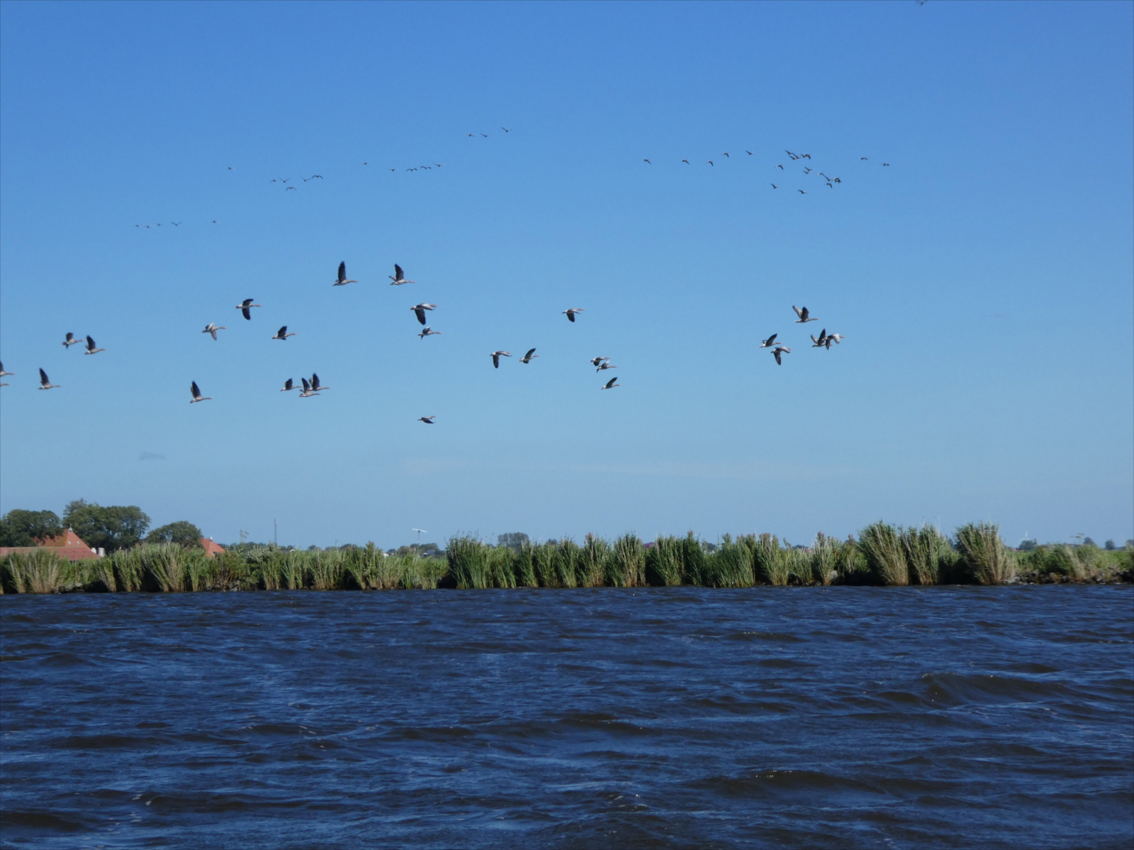 - image: 14
