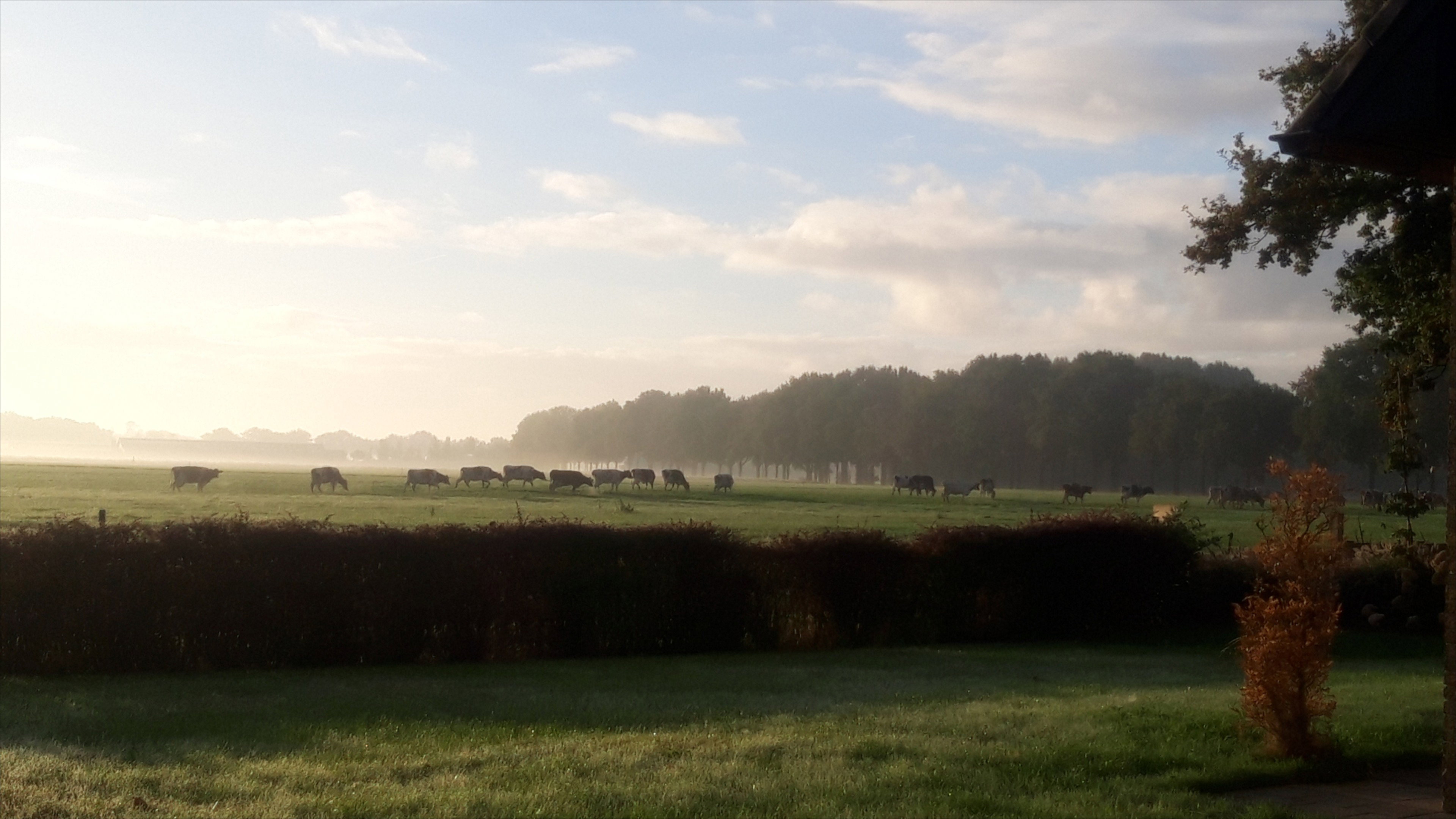 Natuurhuisje in Leende