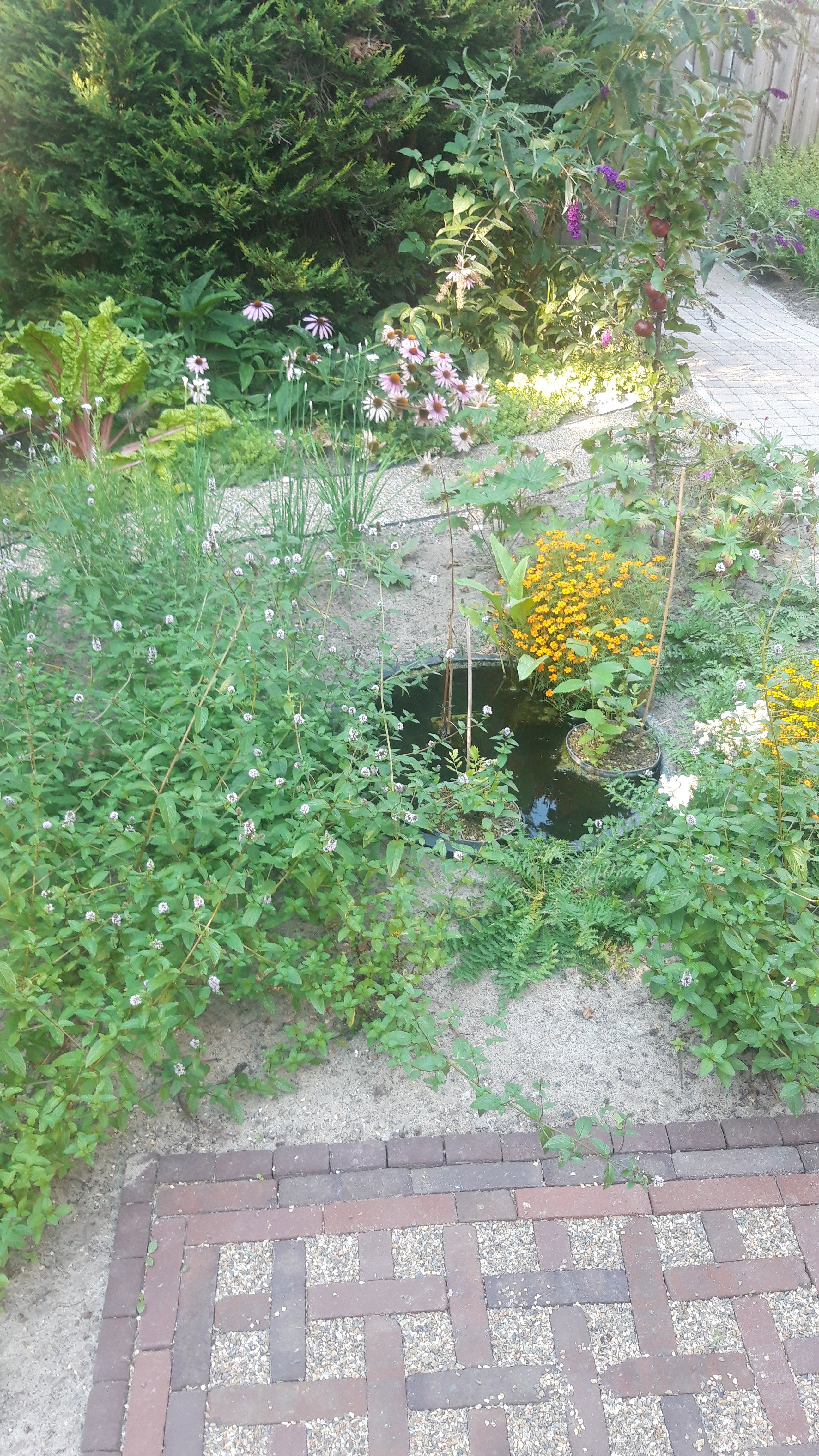 Natuurhuisje in Leende