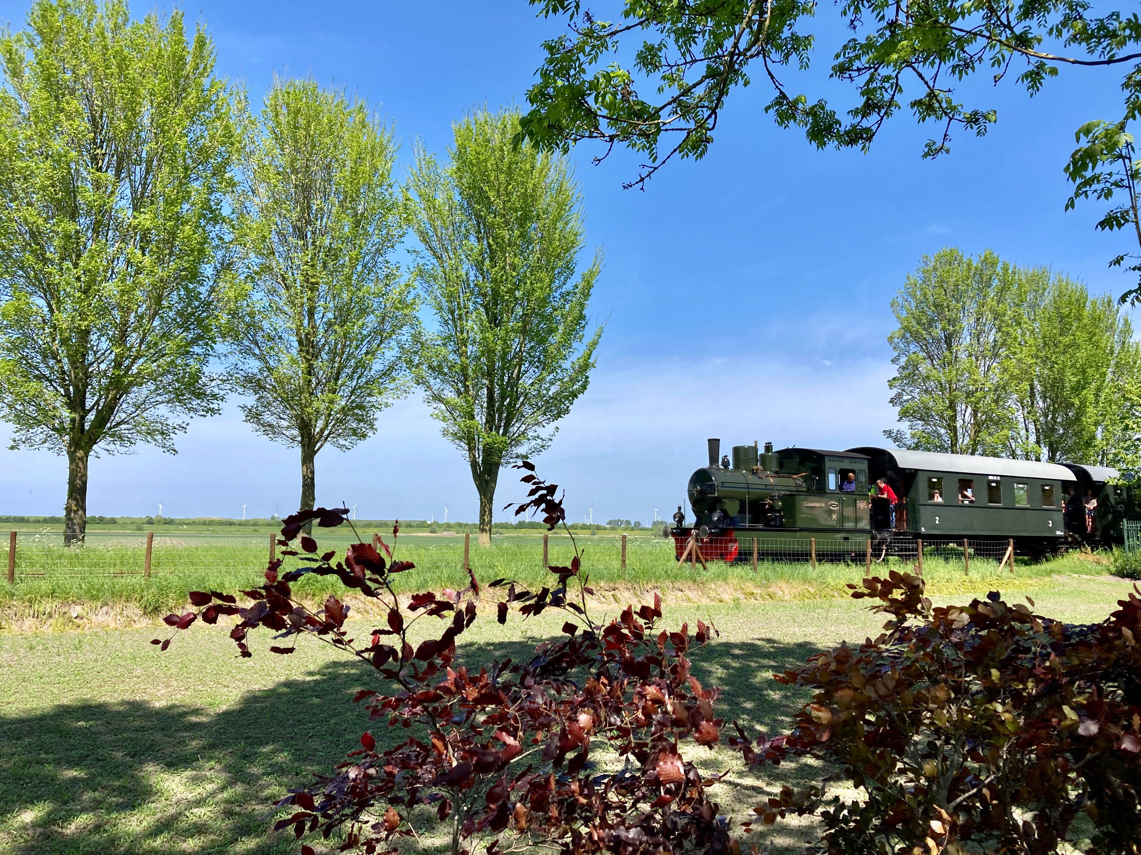 Naturhäuschen in Opperdoes