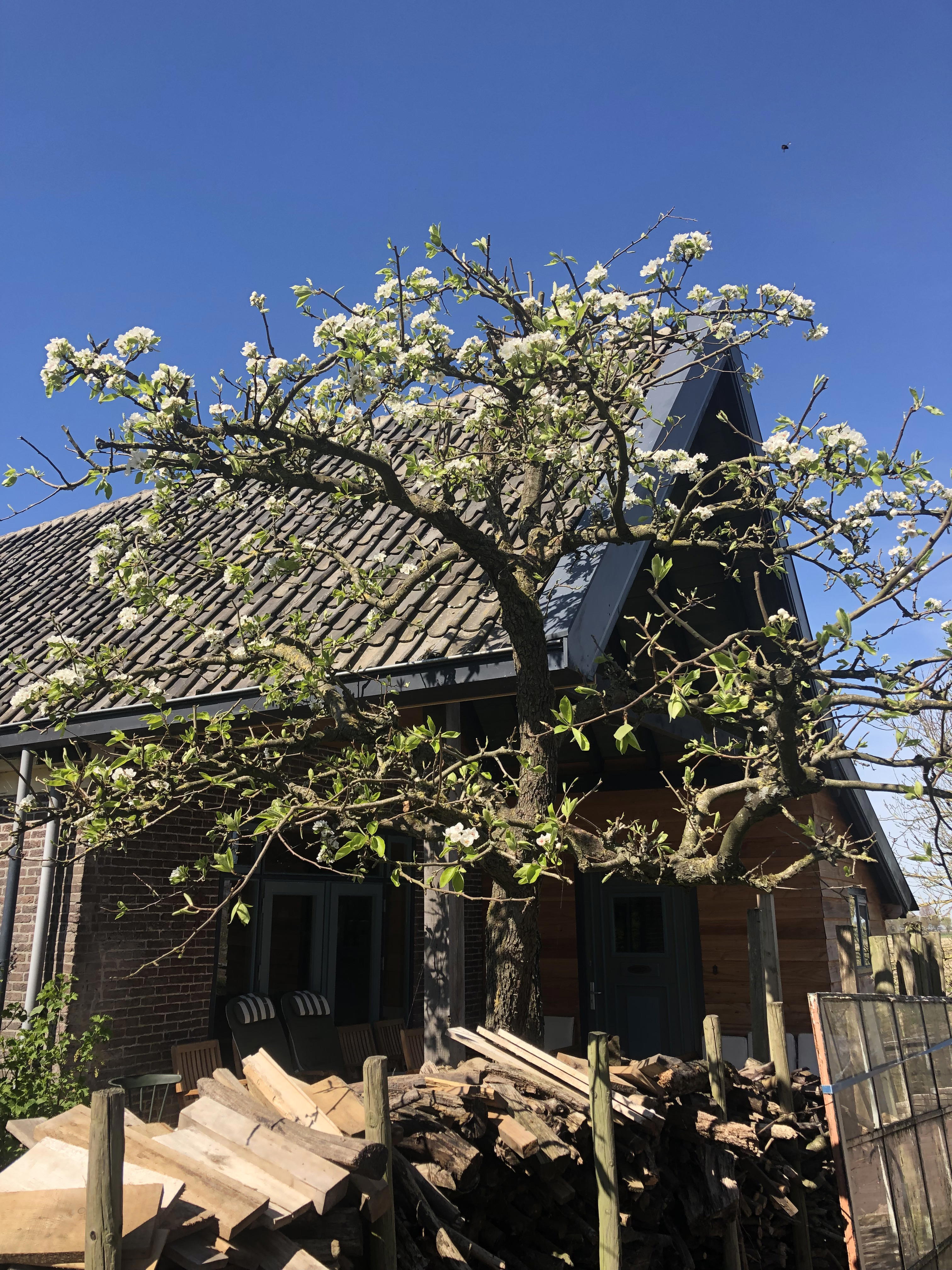 Natuurhuisje in Zuidoostbeemster