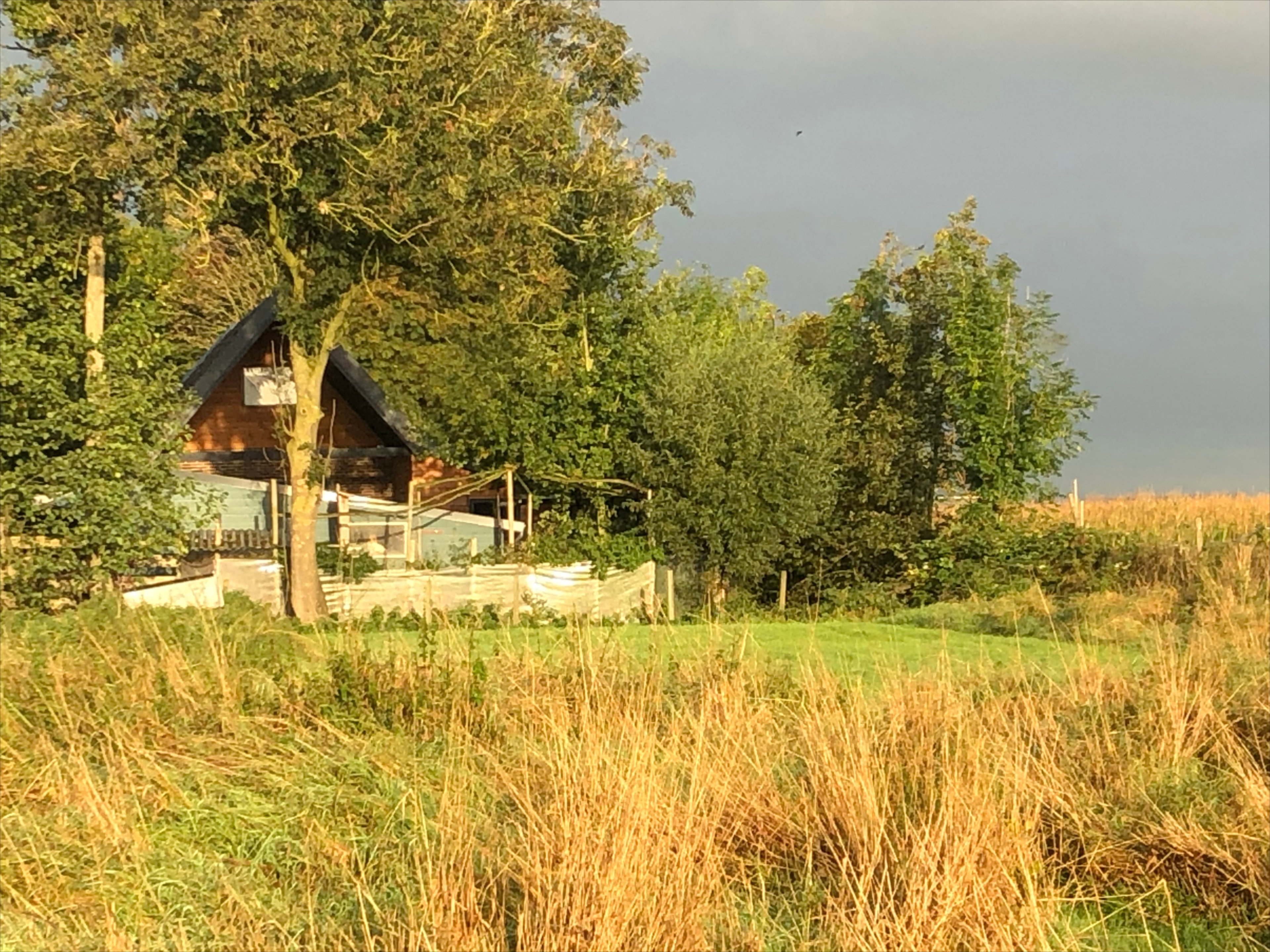 - image: 27