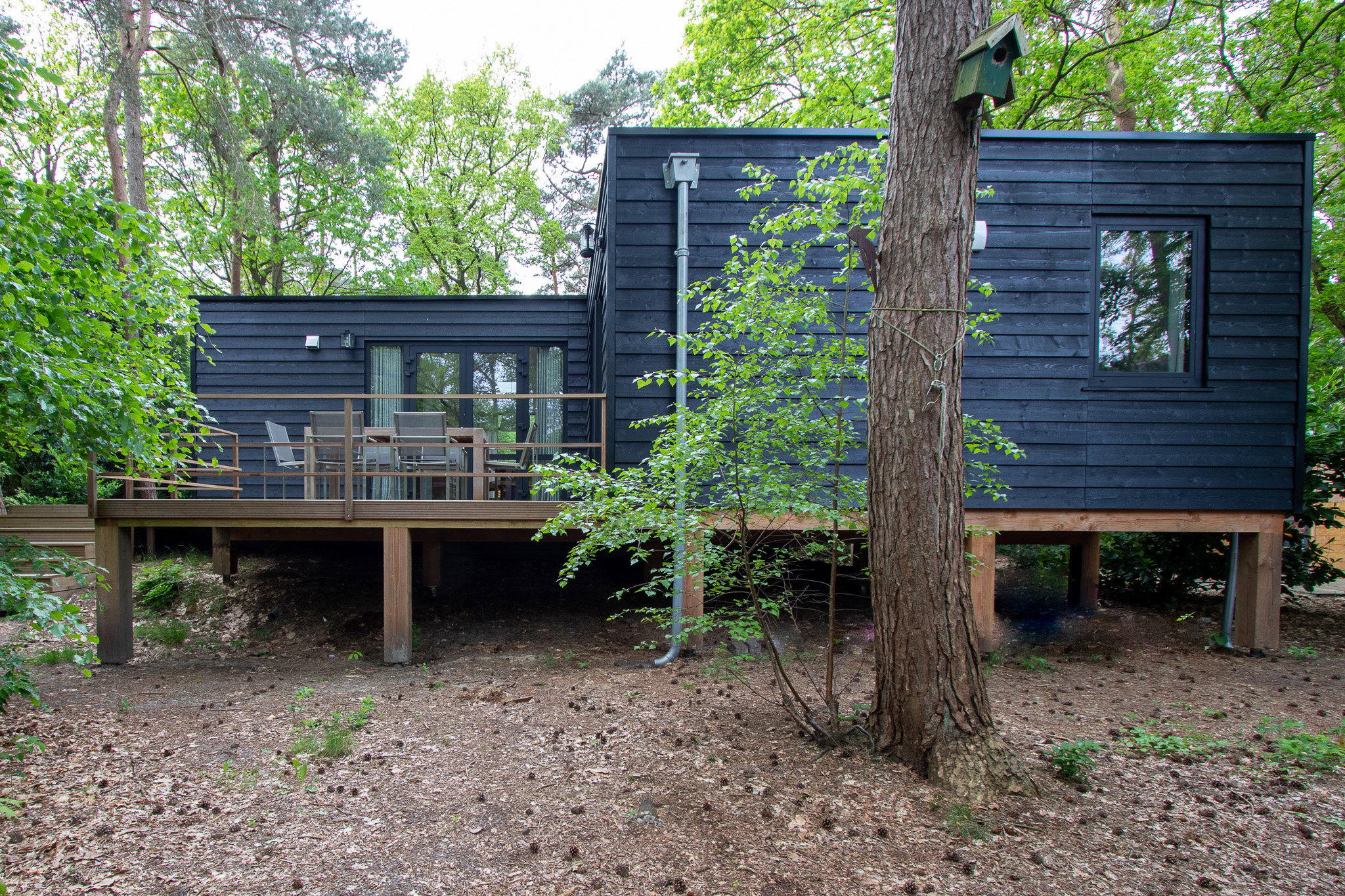 Casa nella natura a Doldersum