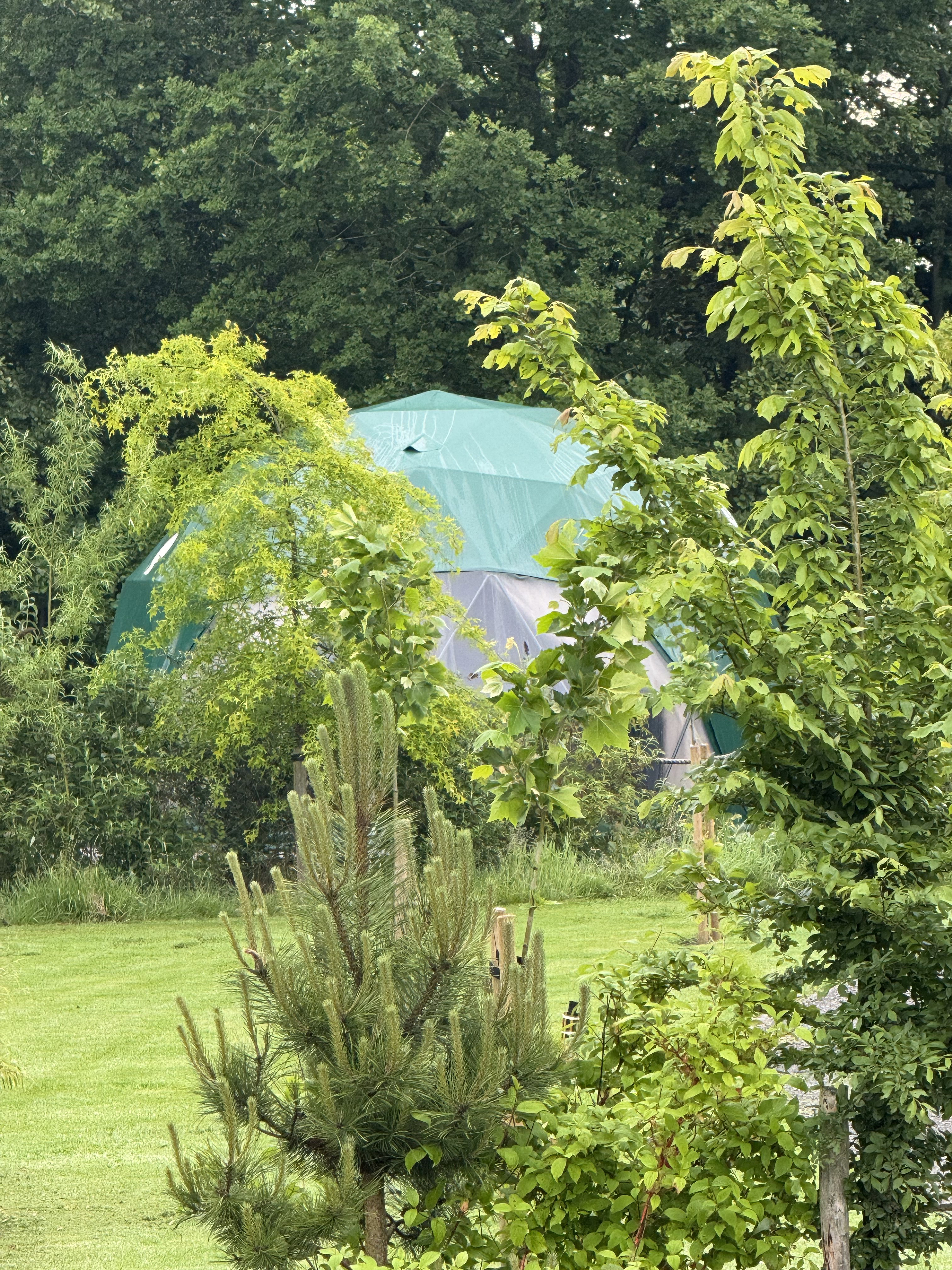 Natuurhuisje in Boelenslaan