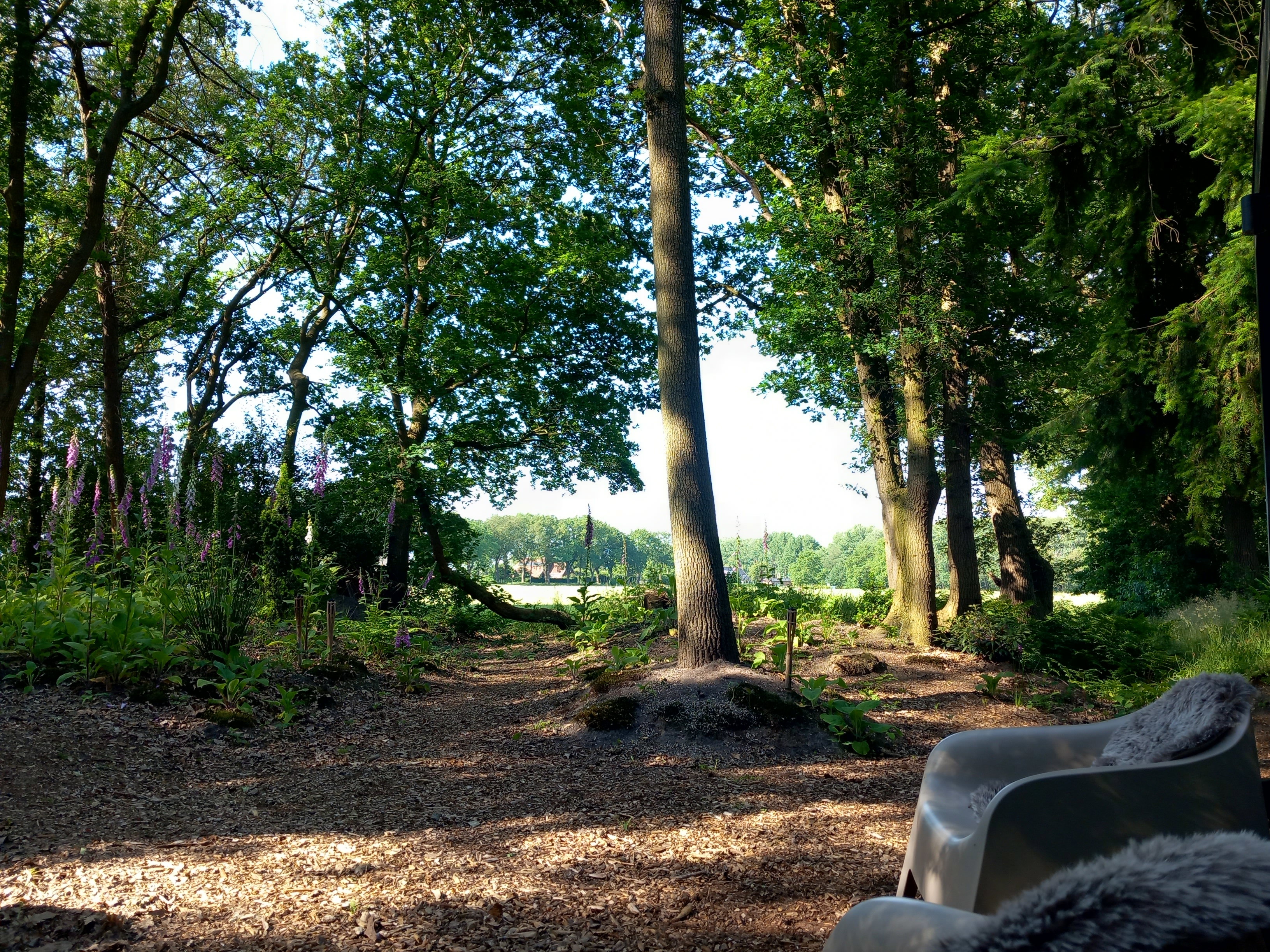 Natuurhuisje in Drijber