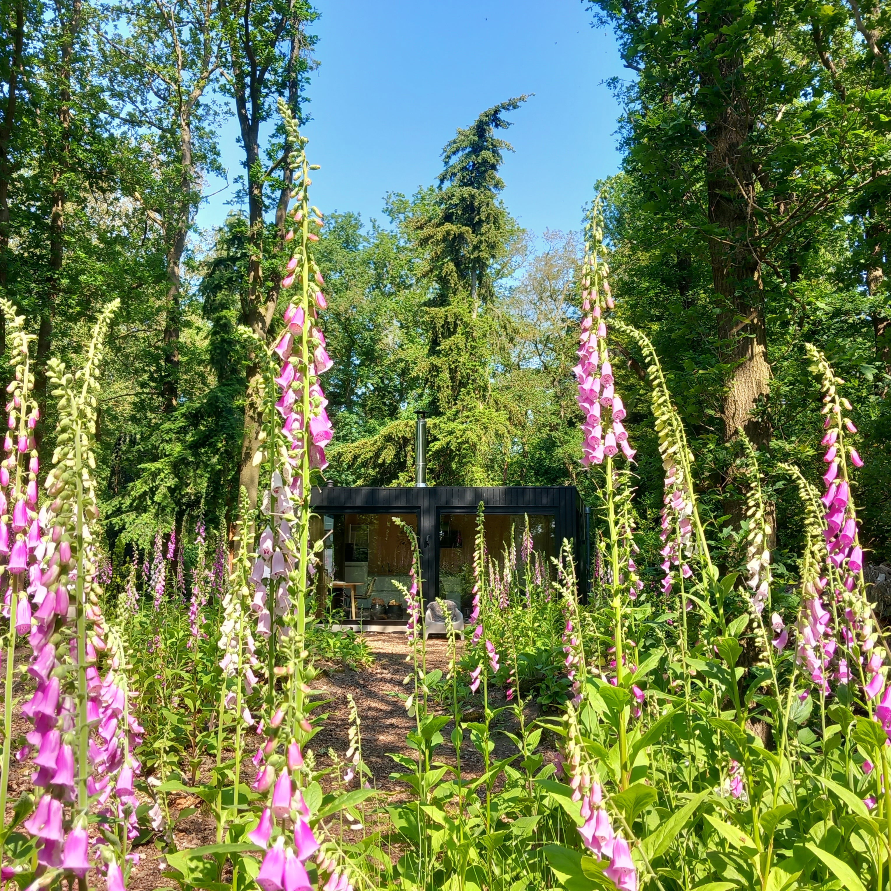 Natuurhuisje in Drijber