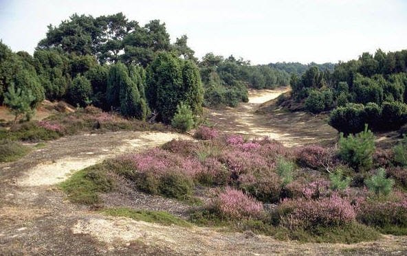 - image: 57