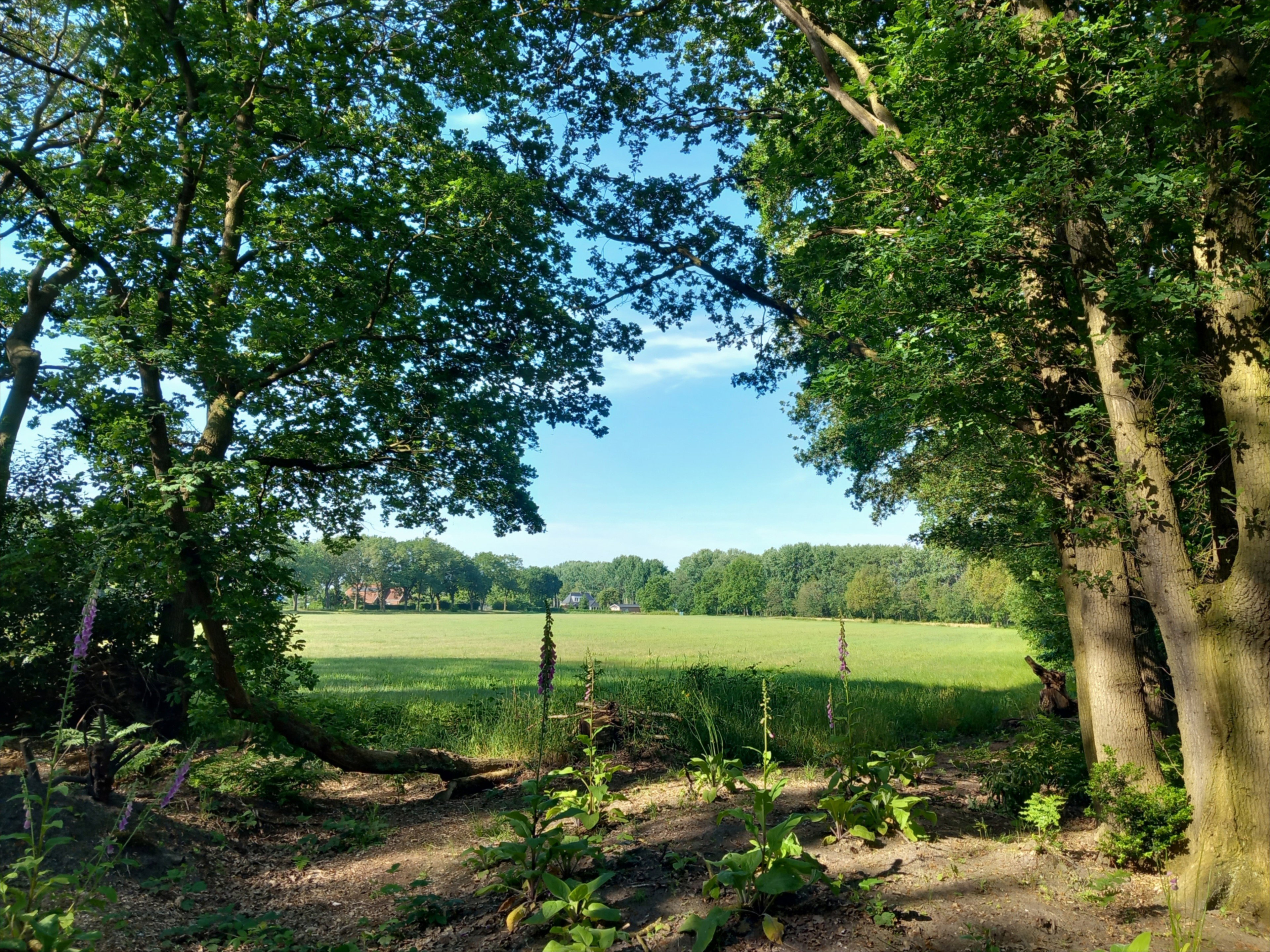 Natuurhuisje in Drijber