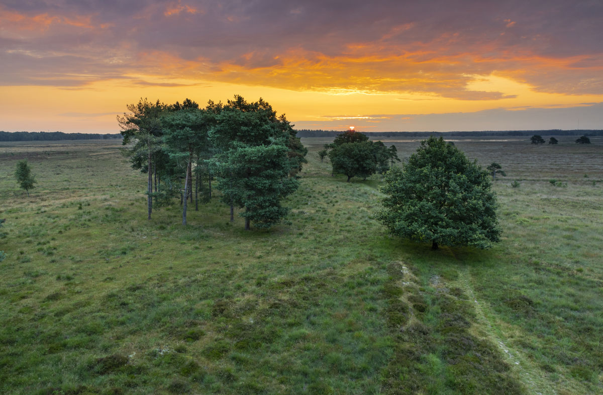 Natuurhuisje in Zorgvlied