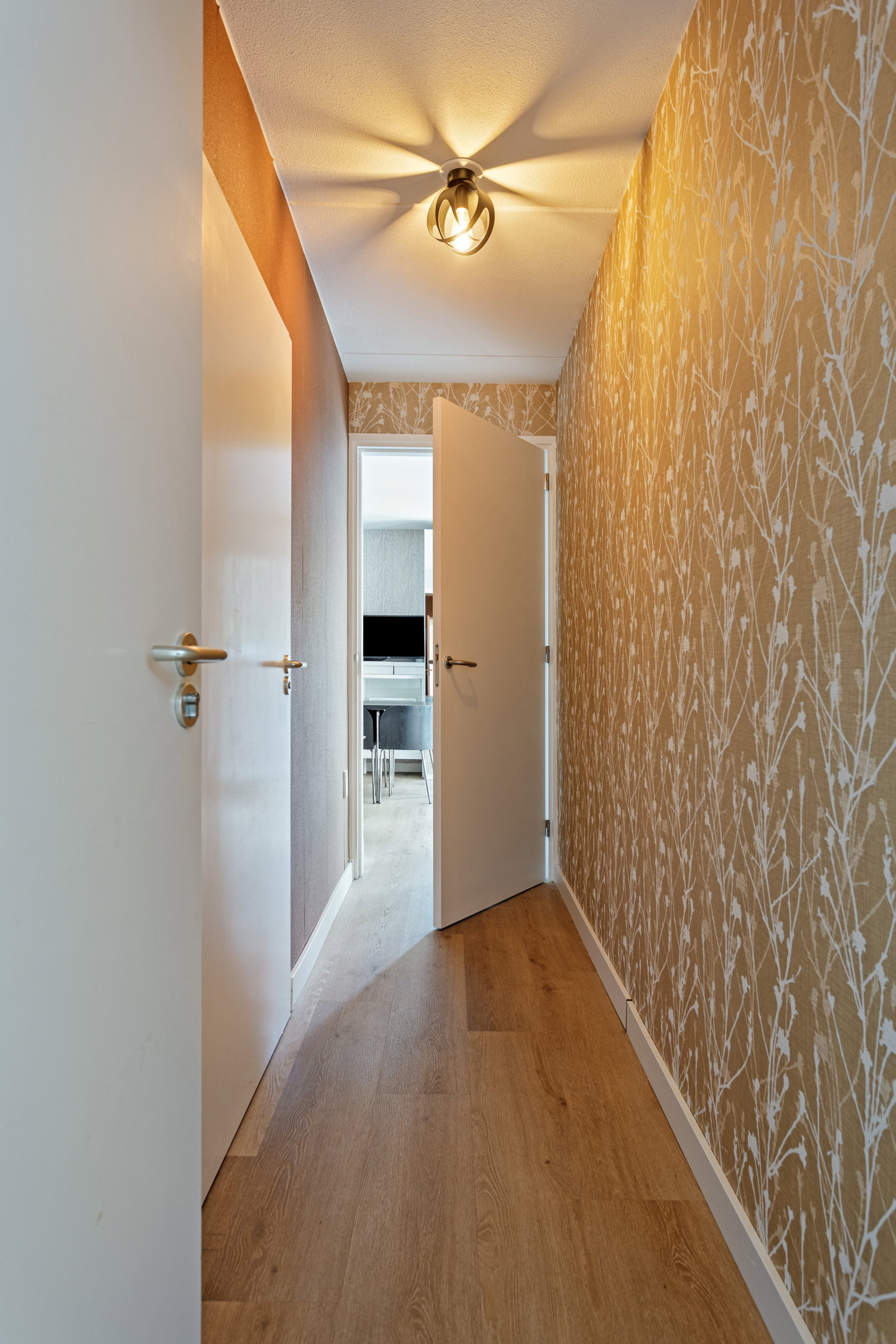 - image: 53