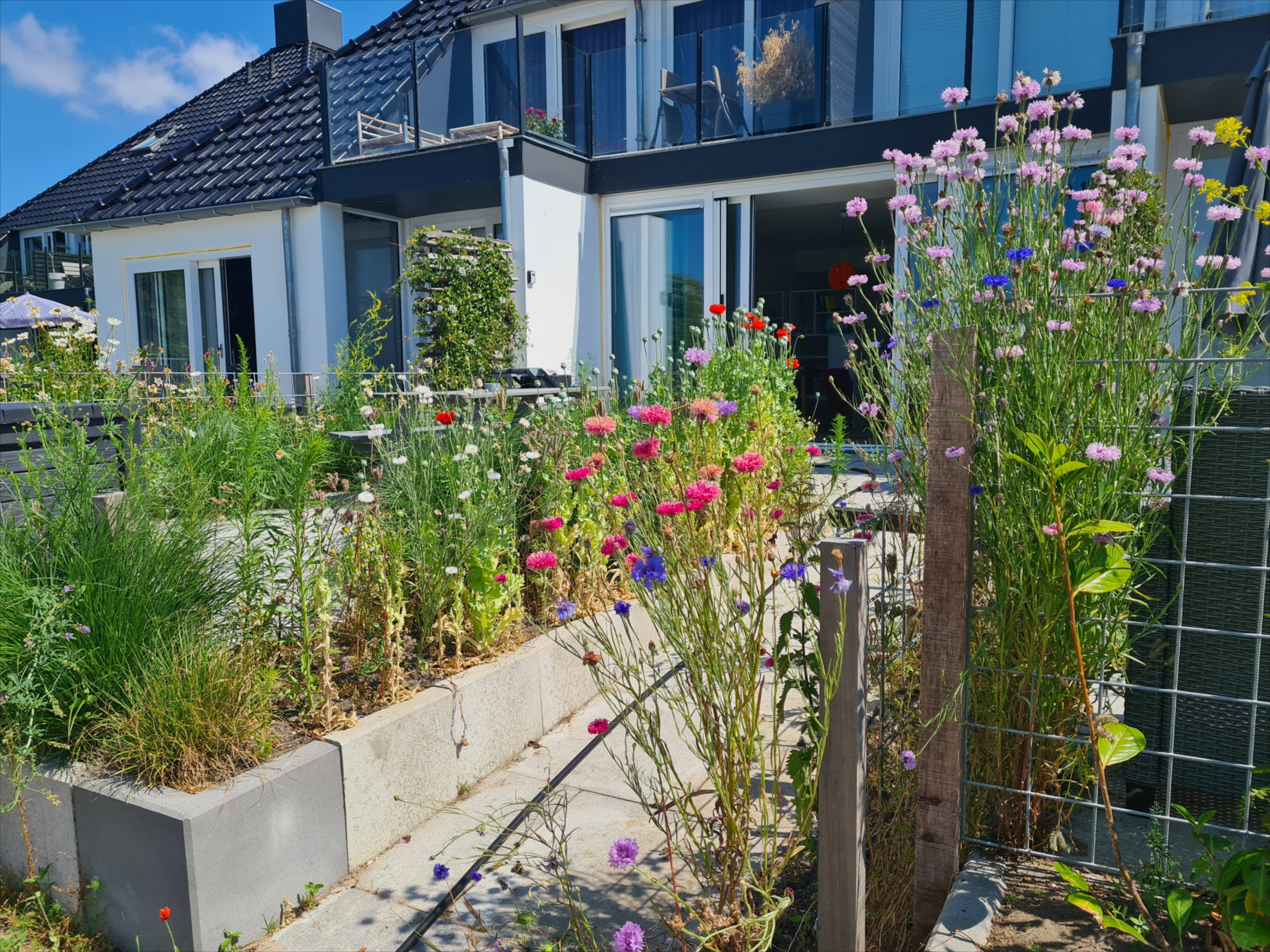 Casa nella natura a Offingawier/Sneek