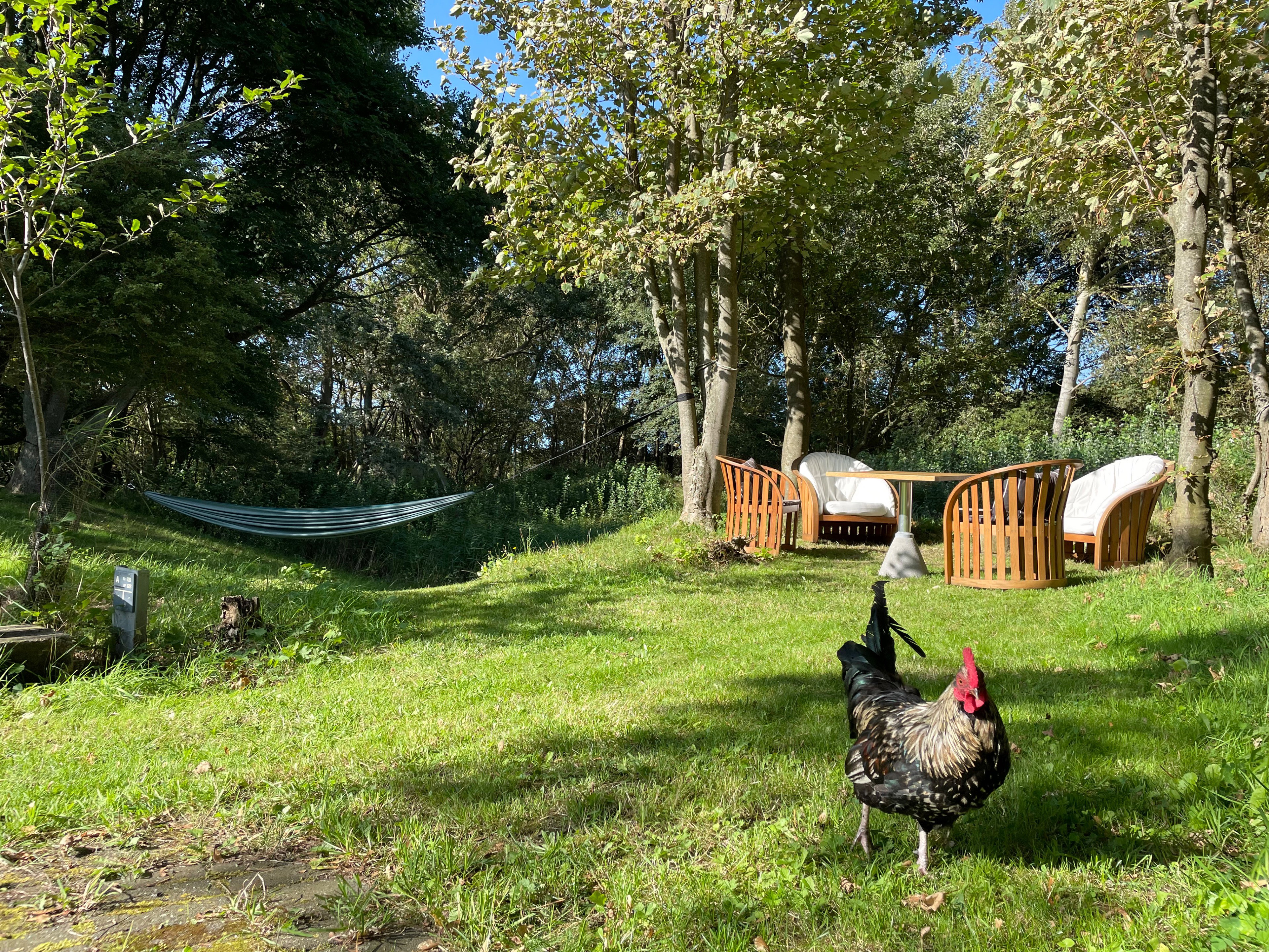 Naturhäuschen in Biggekerke