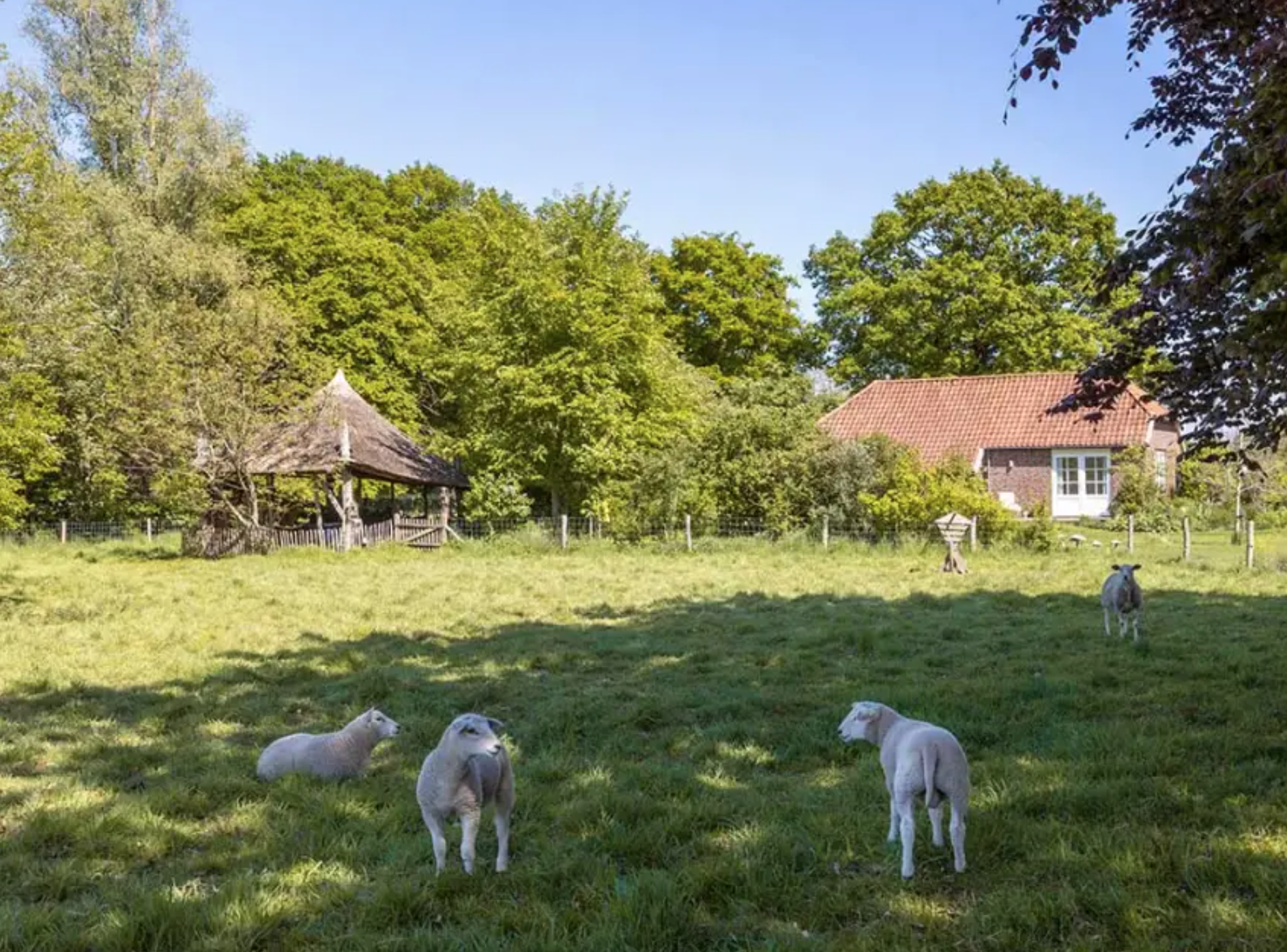 Natuurhuisje in Baak