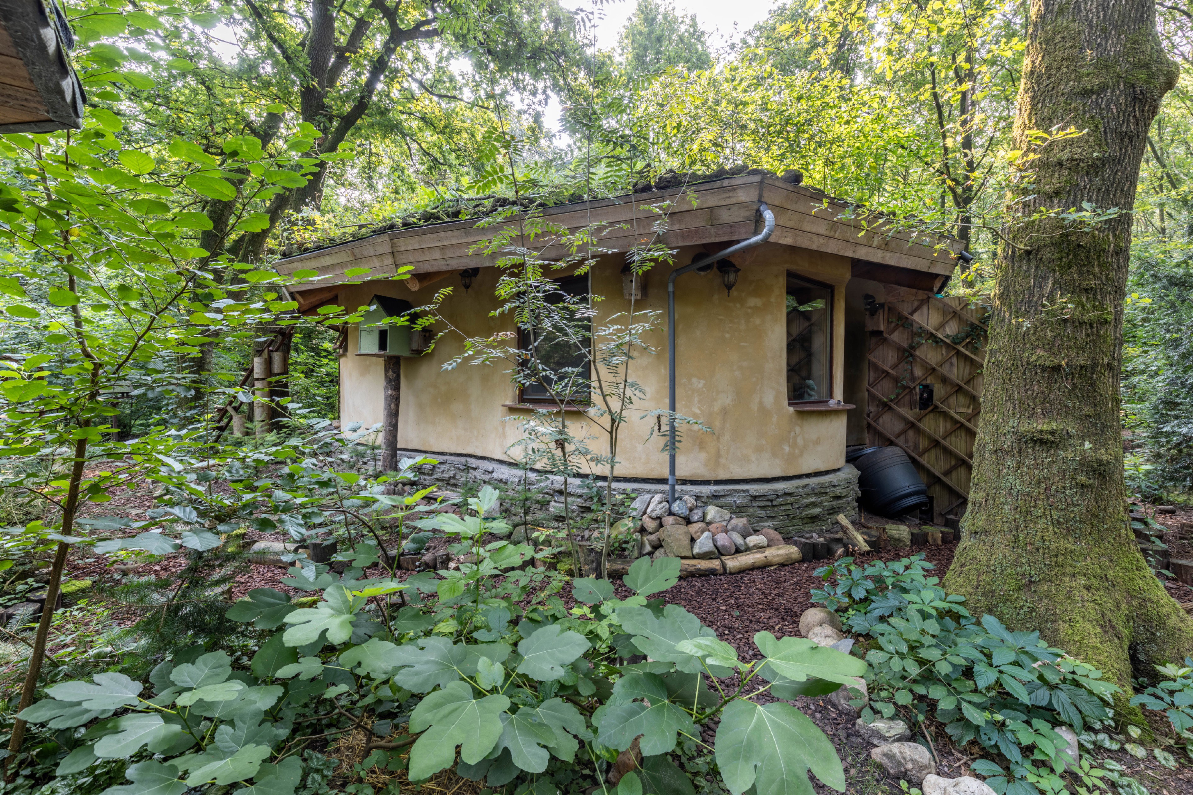 Natuurhuisje in Neede