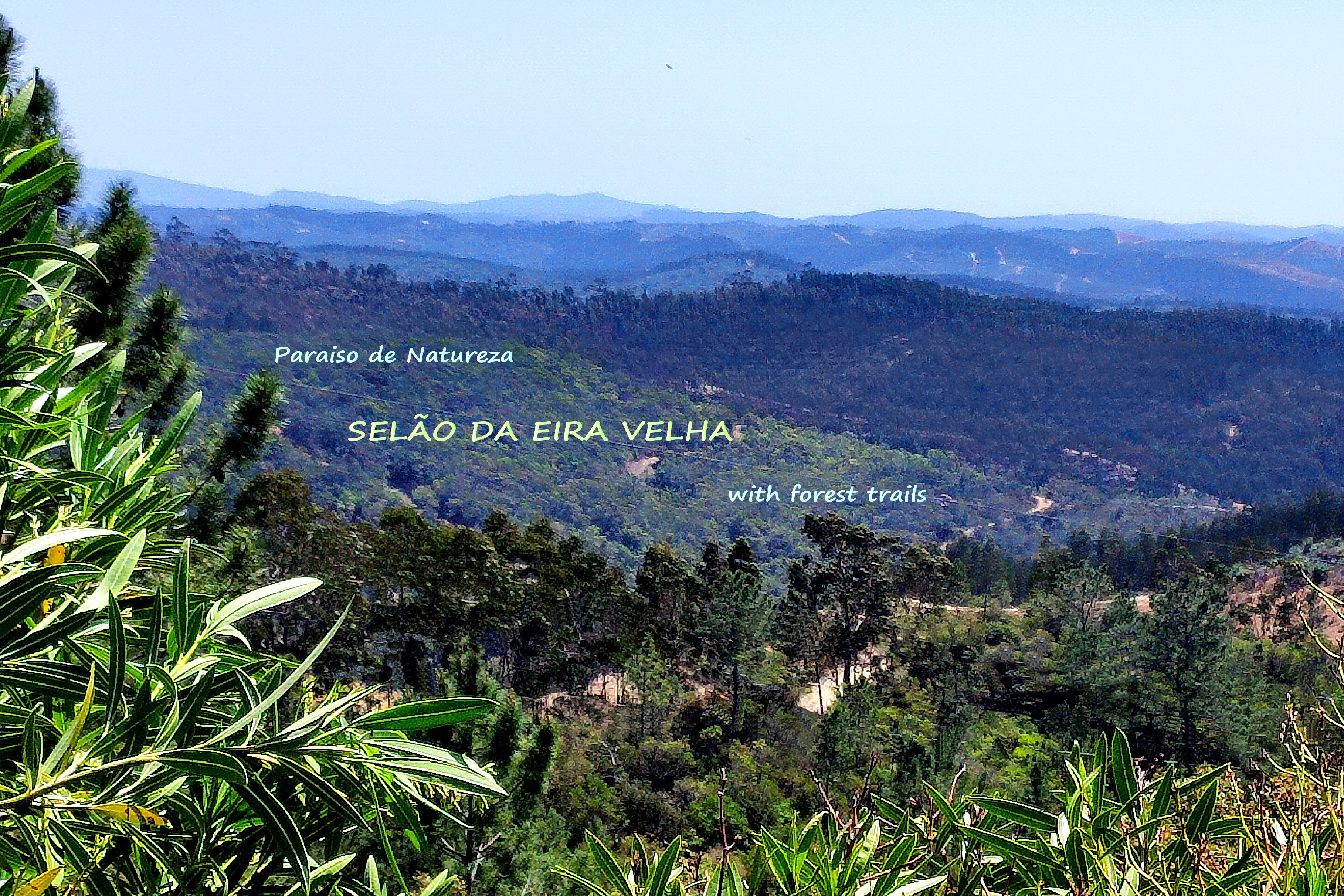 - image: 12
