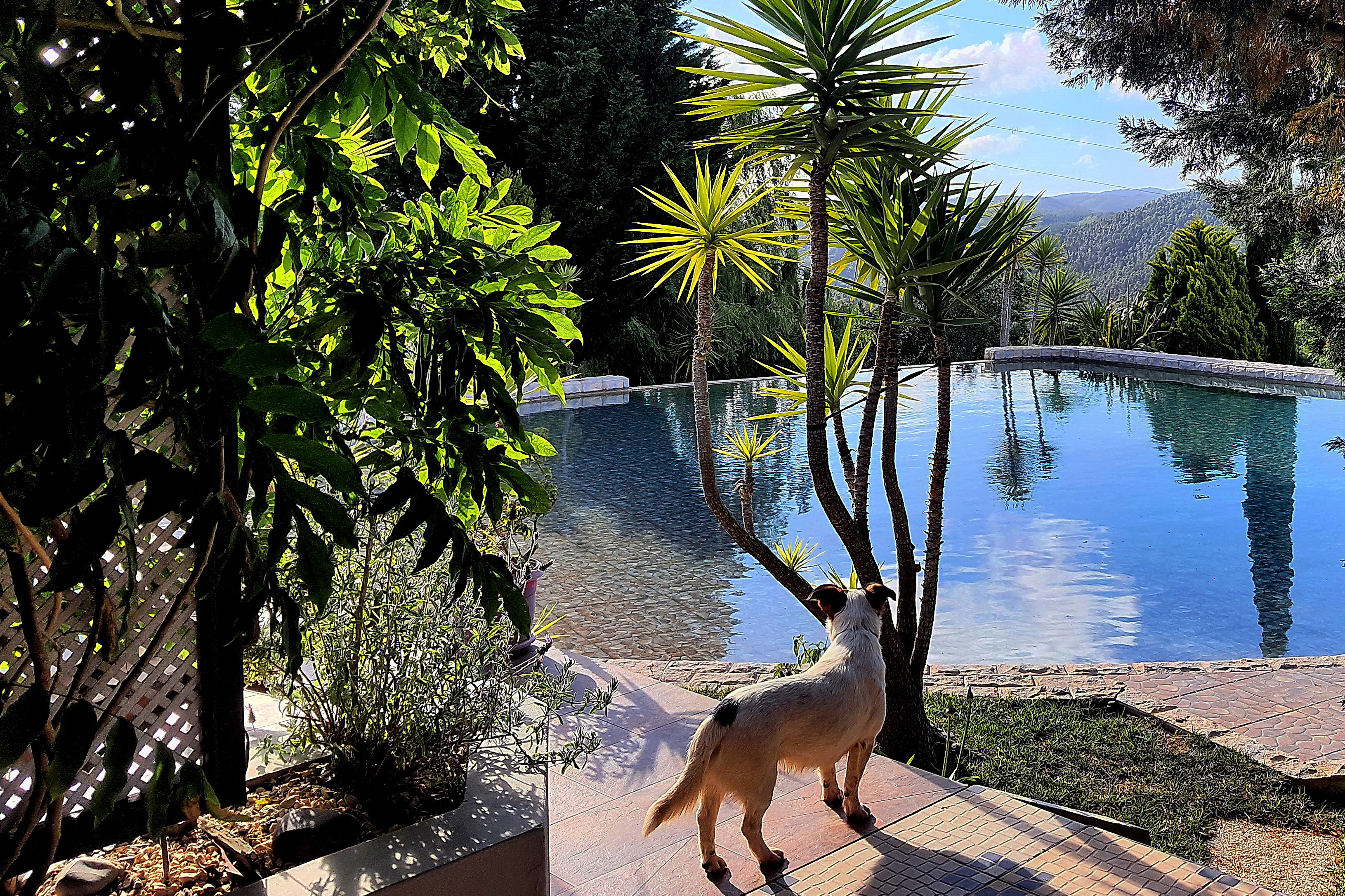 Casa nella natura a S. Teotónio