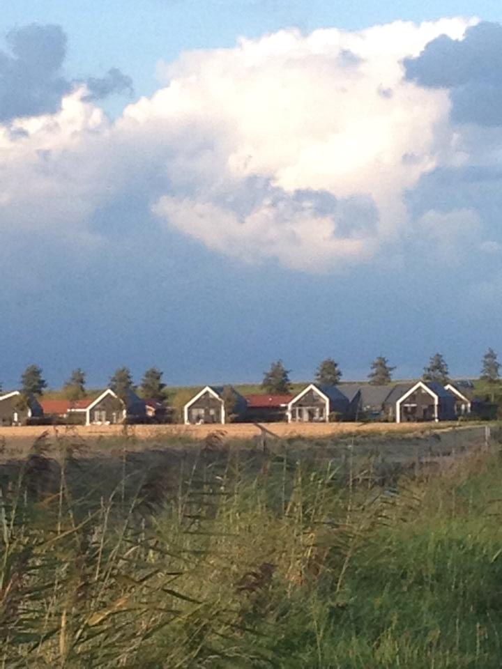 Casa nella natura a Kattendijke