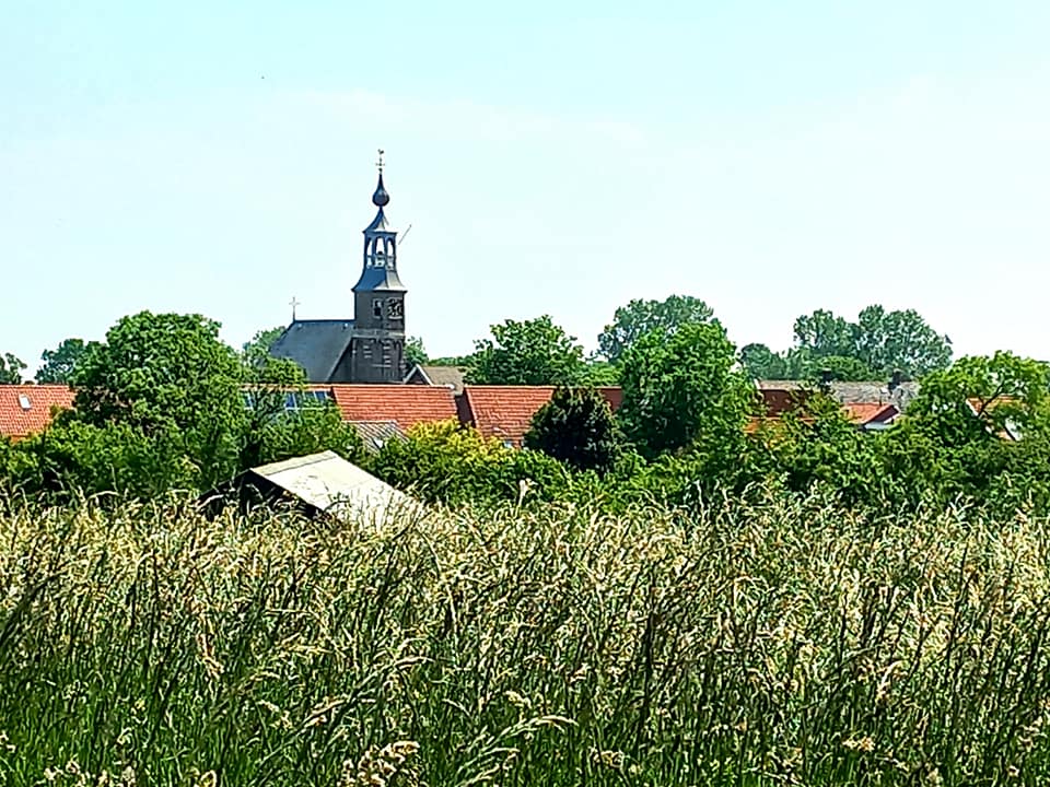 - image: 13