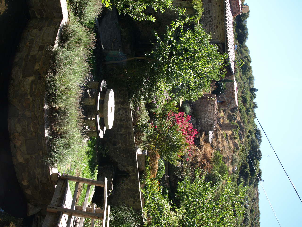 - image: 11