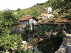 - image: 14