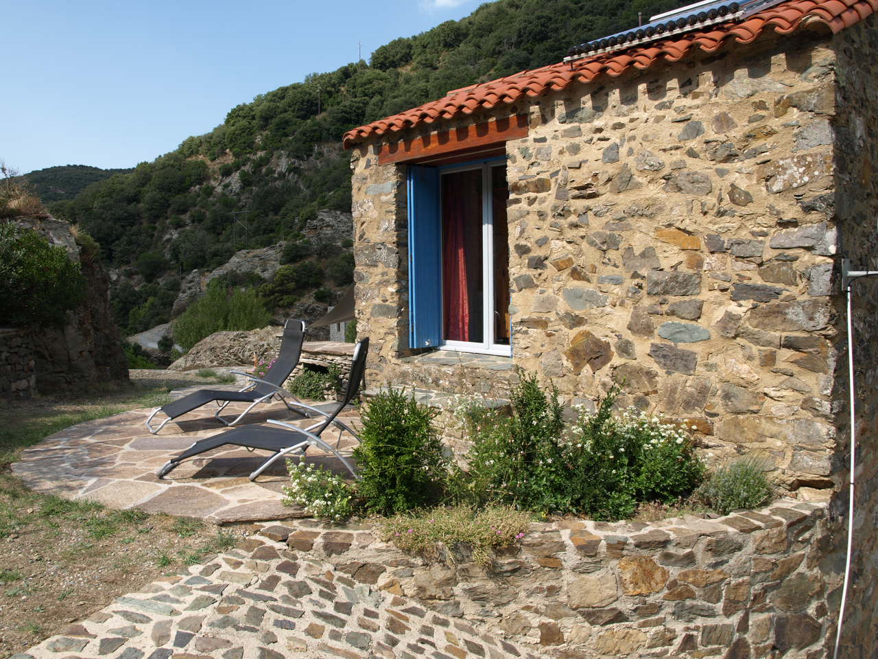- image: 12