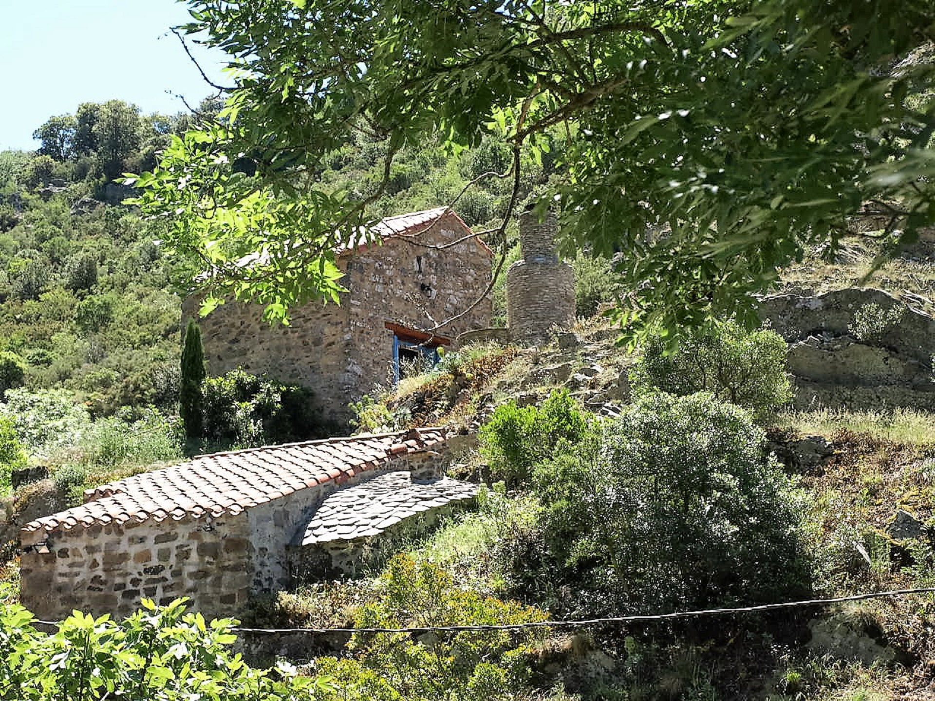 - image: 13