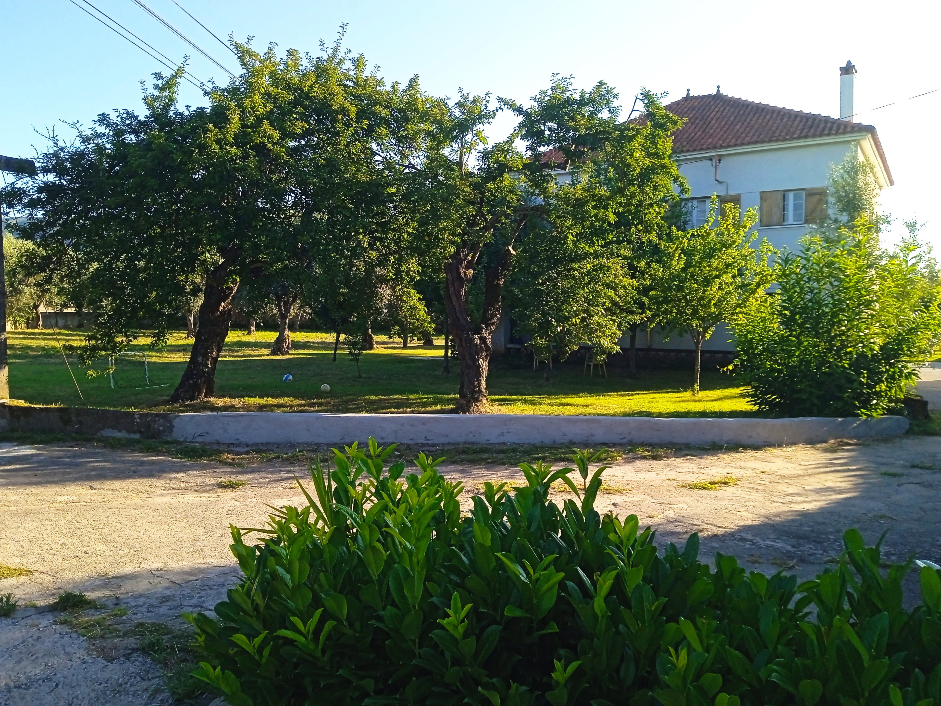 - image: 21