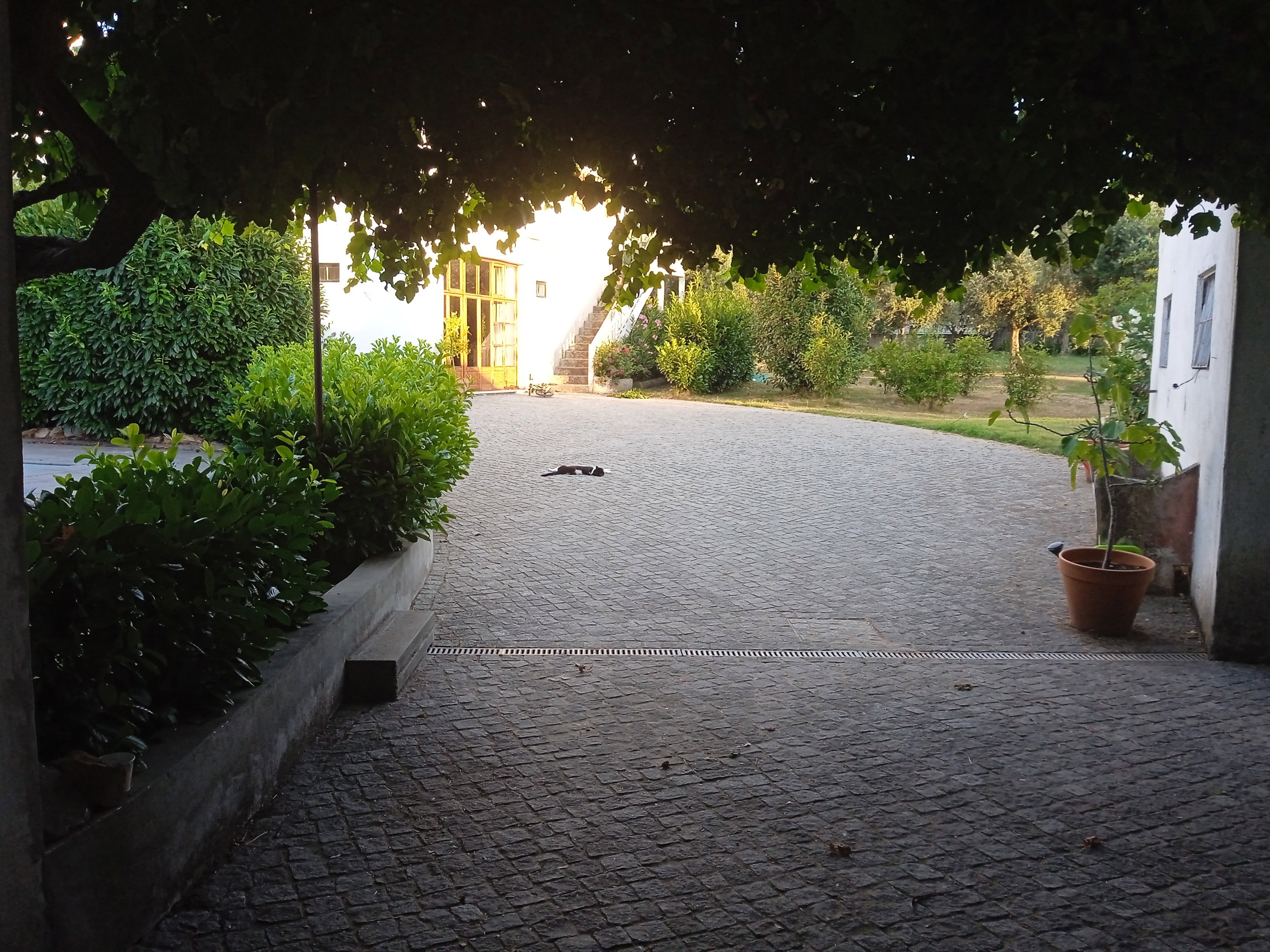 - image: 10