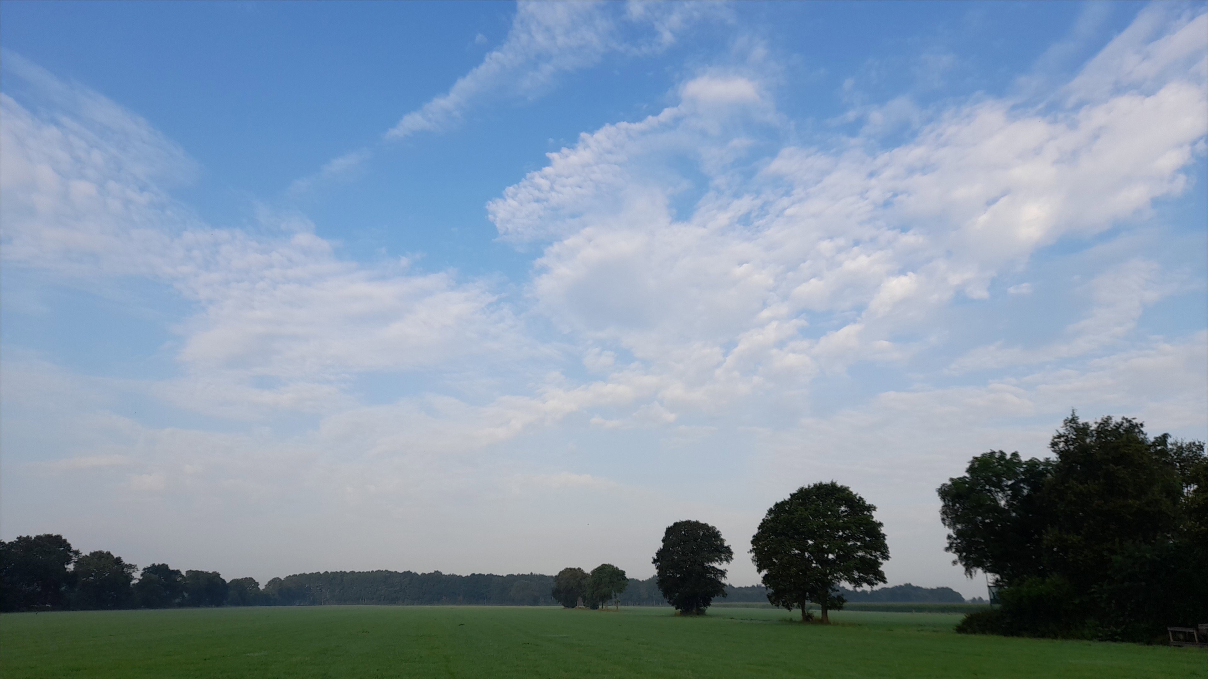 Nature house in De Wilp
