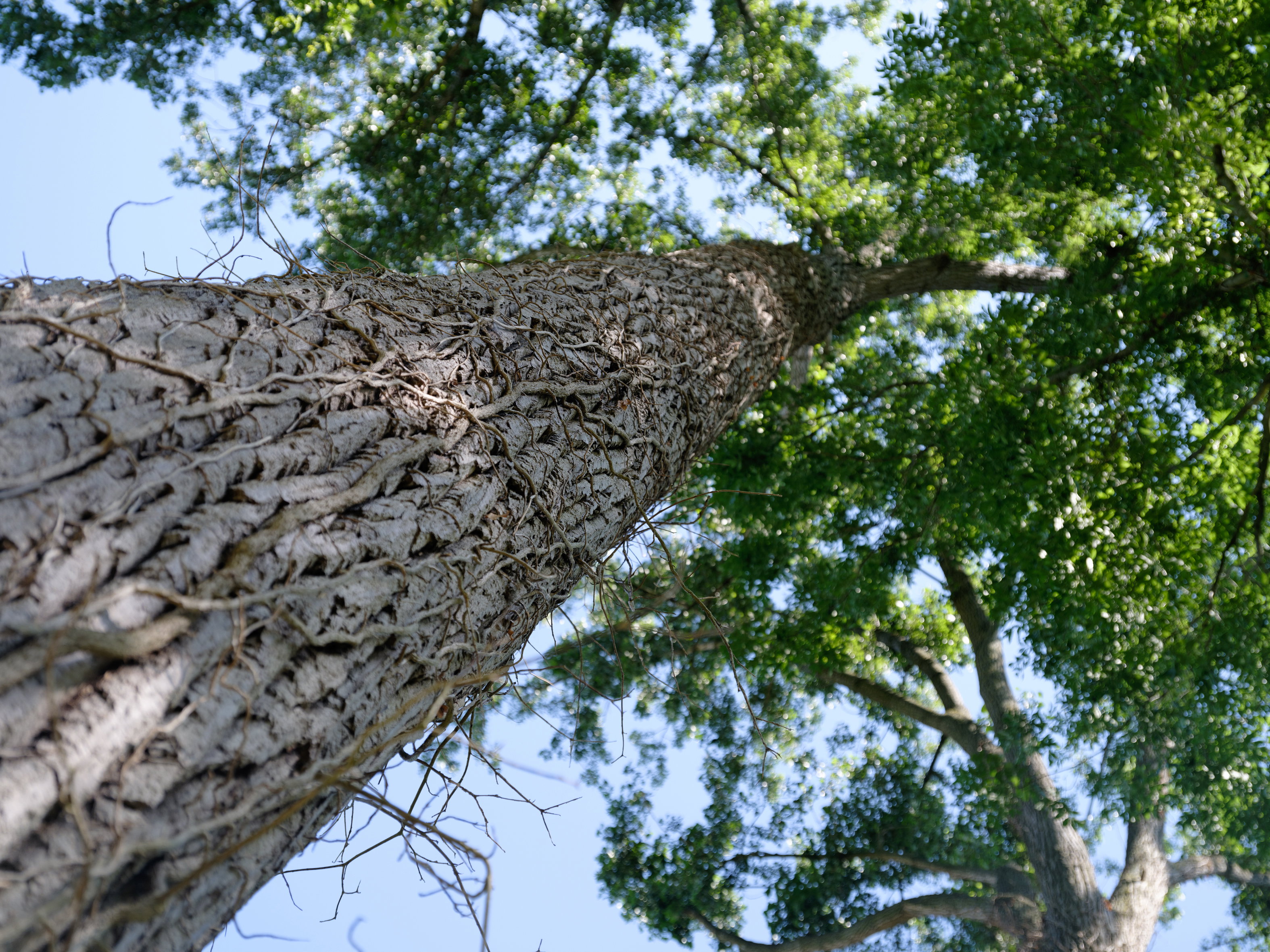 Naturhäuschen in Lennik