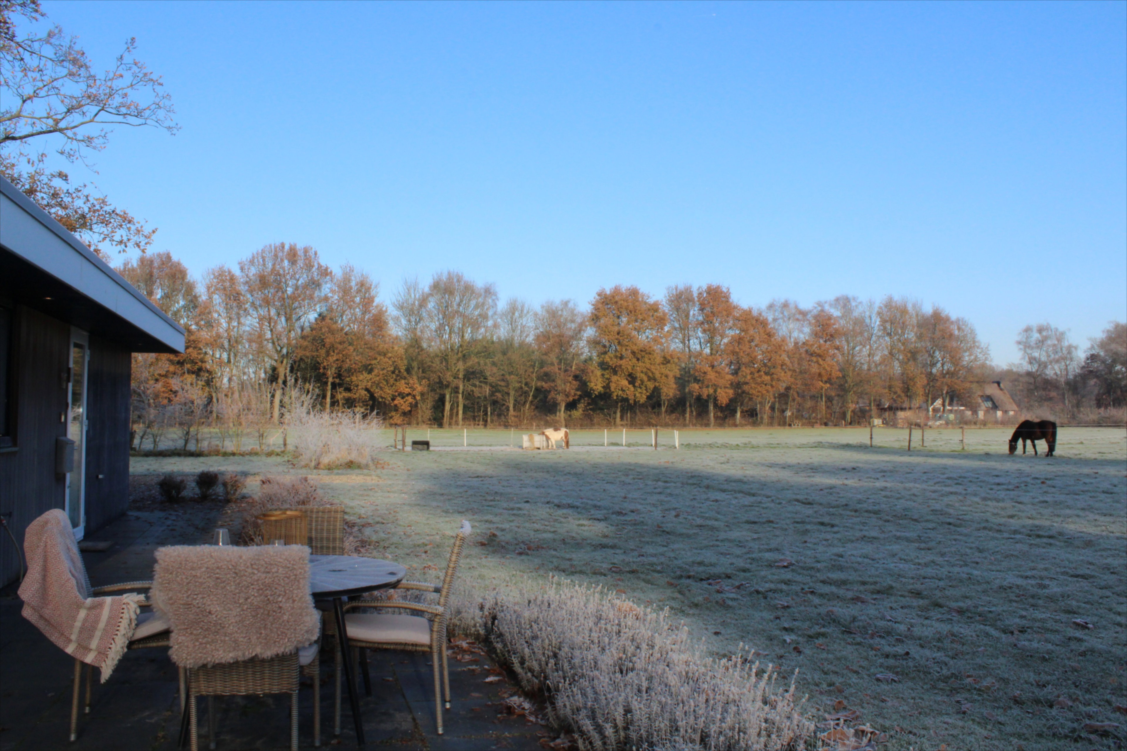Natuurhuisje in Kootwijk