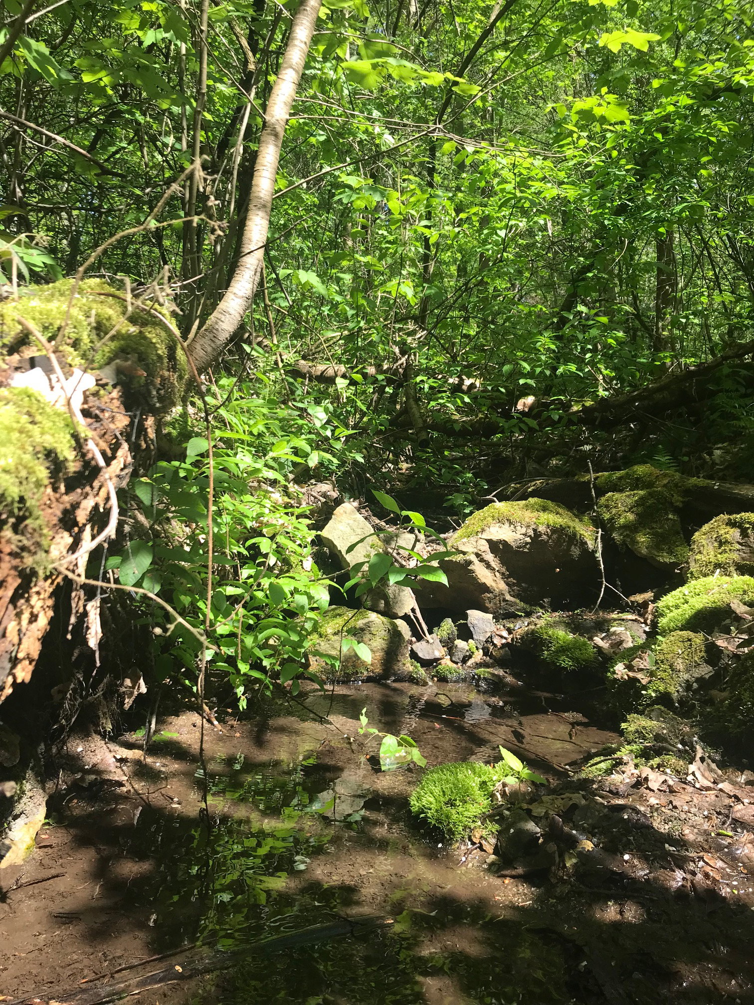 Natuurhuisje in Bertsdorf-Hörnitz