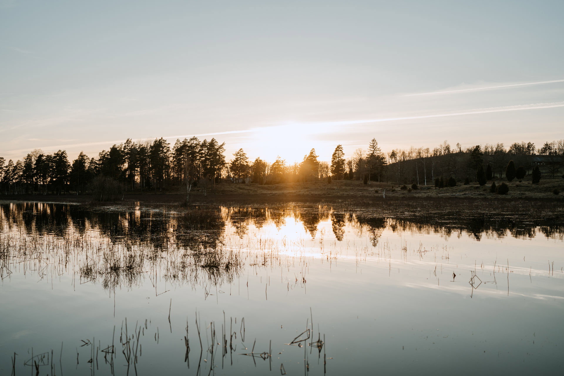Natuurhuisje in Nye