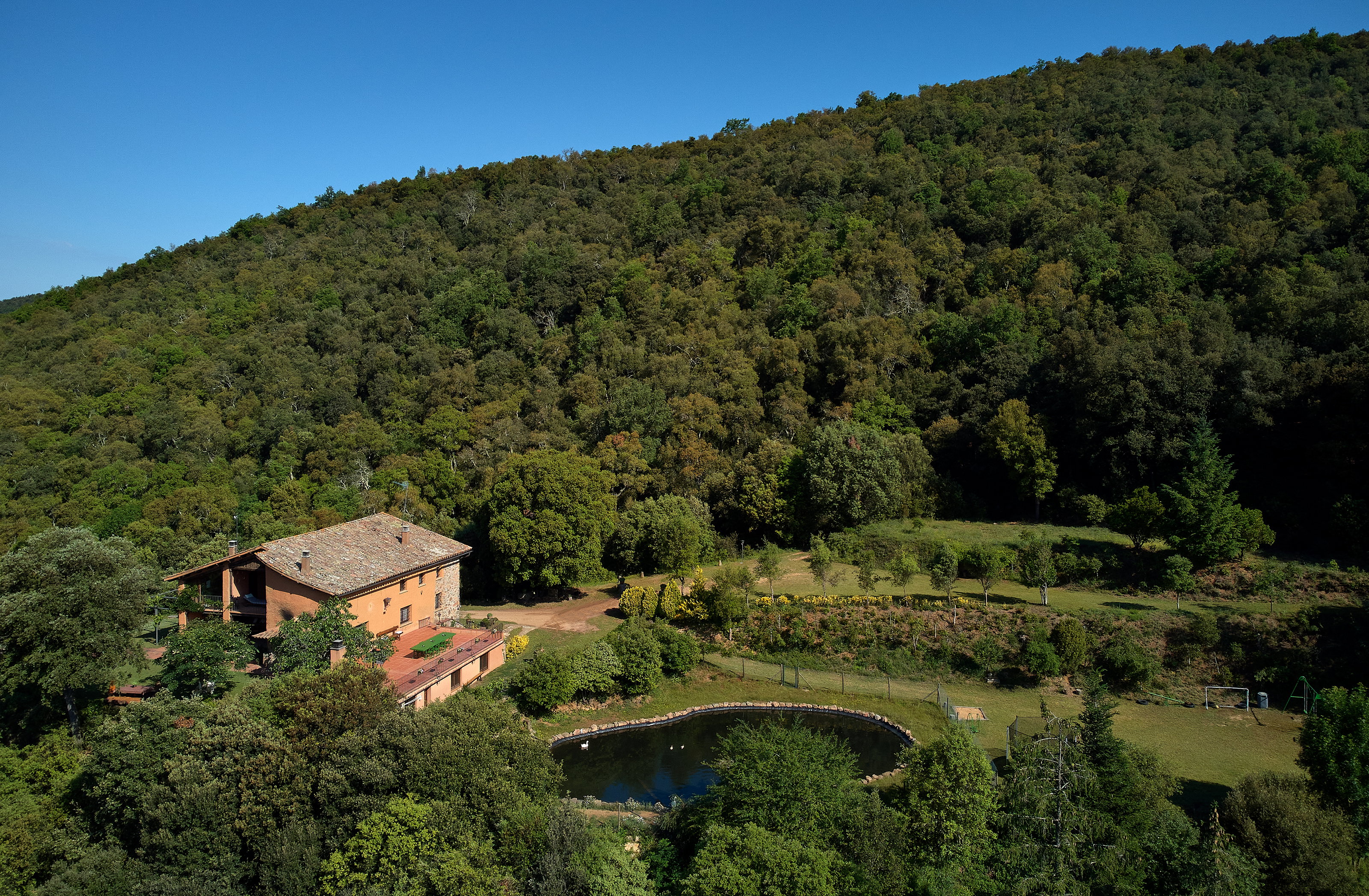 - image: 11