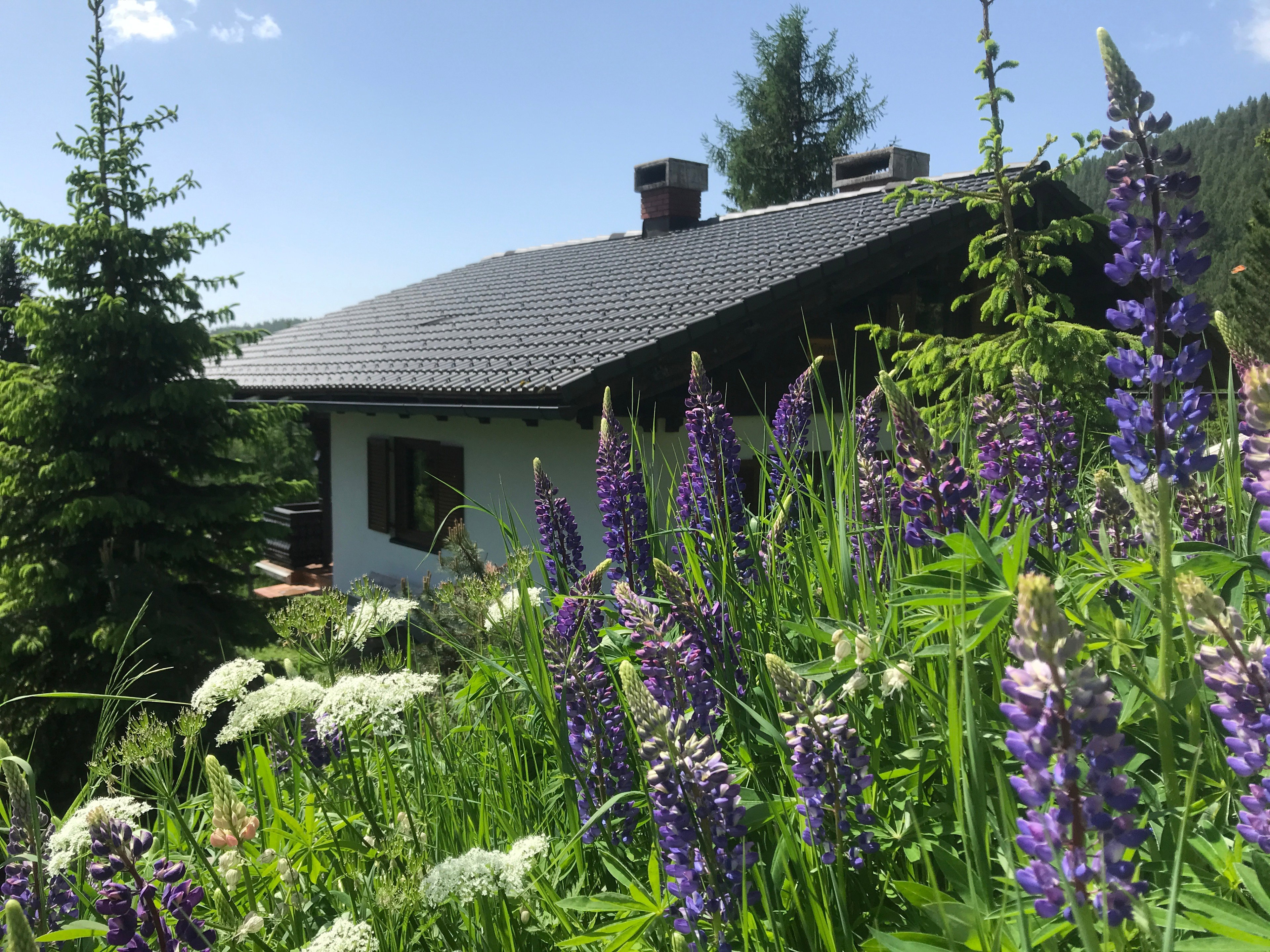 Maison nature à Hochrindl