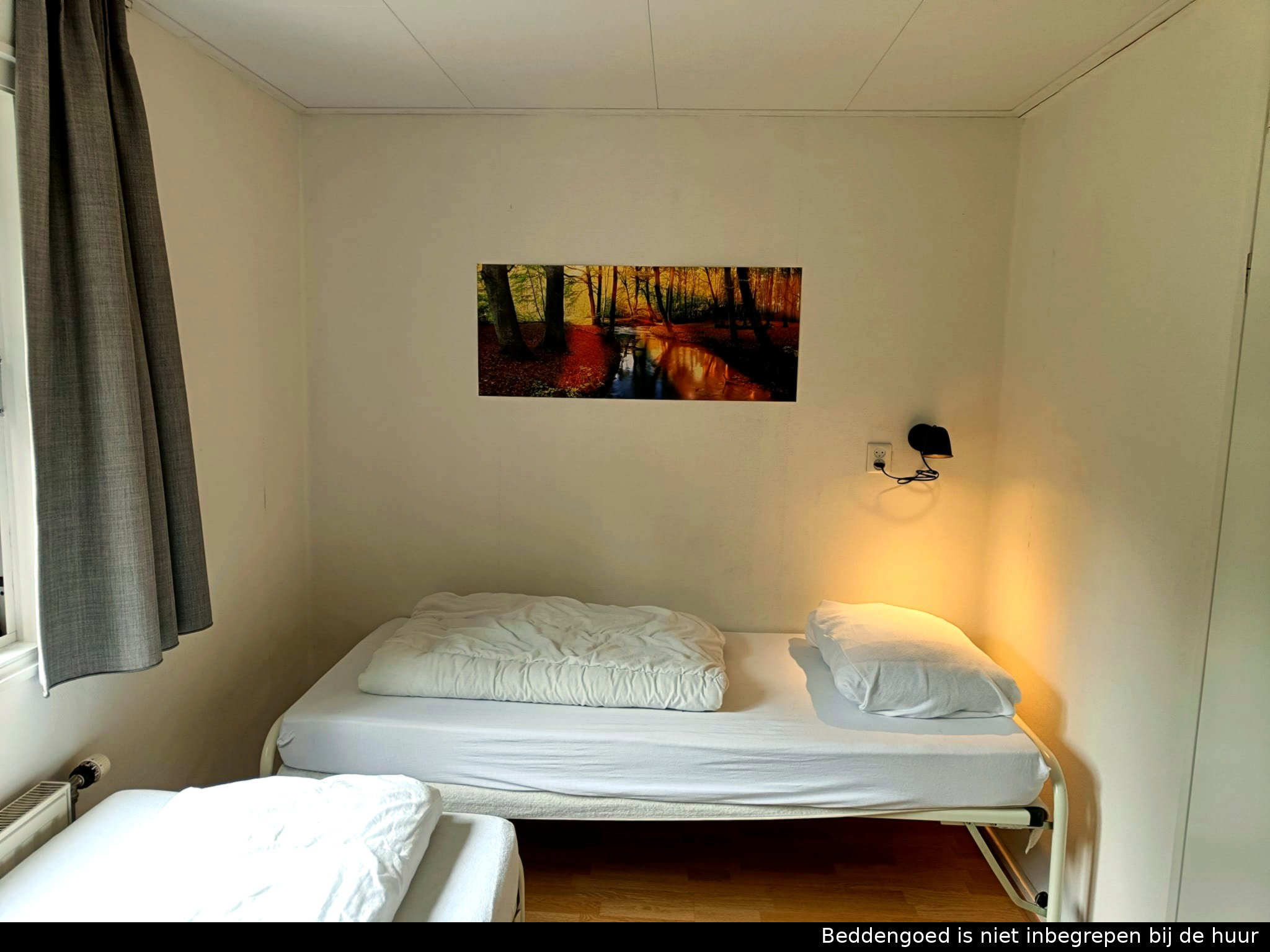 - image: 11