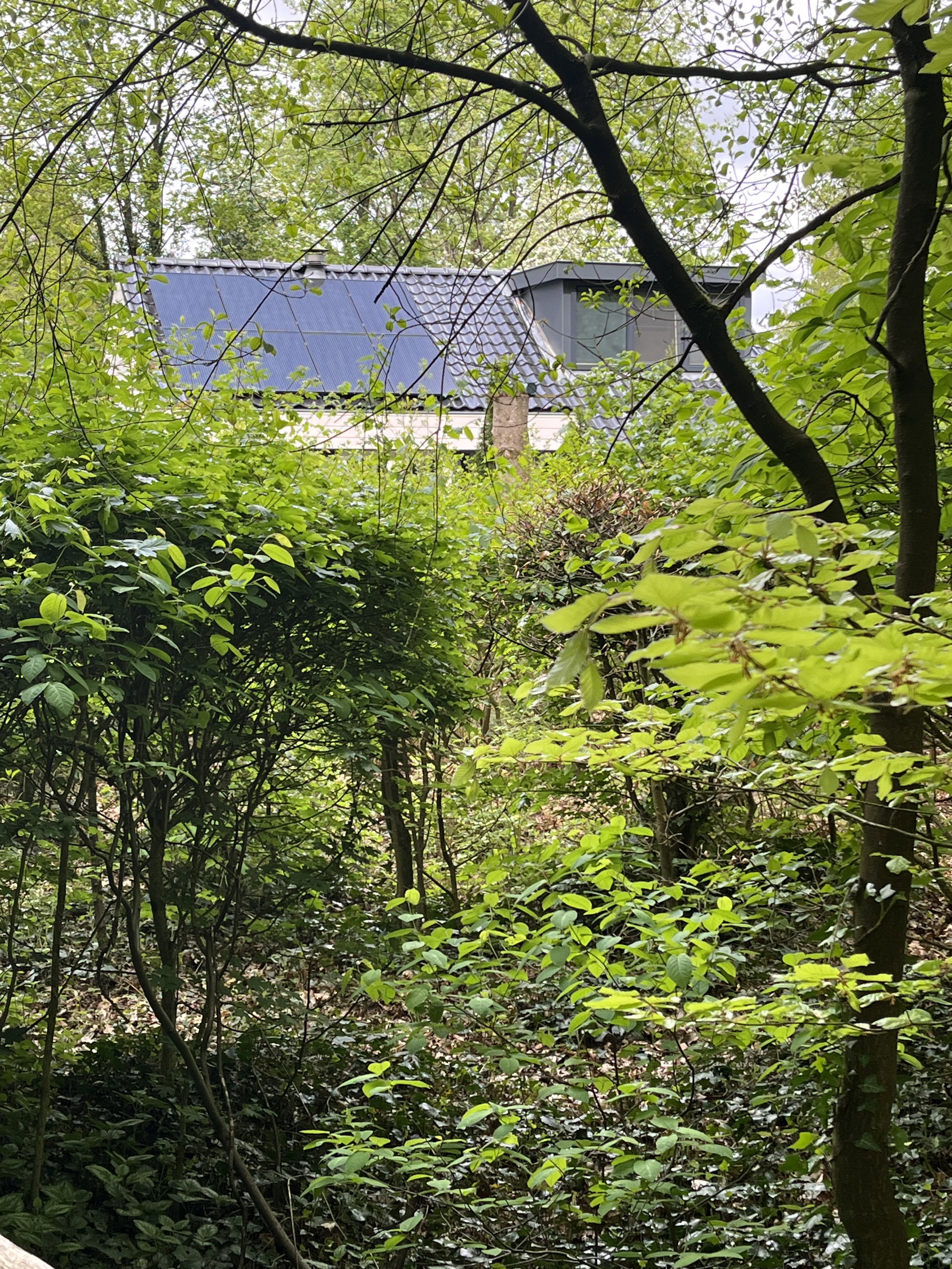 Casa nella natura a Appelscha