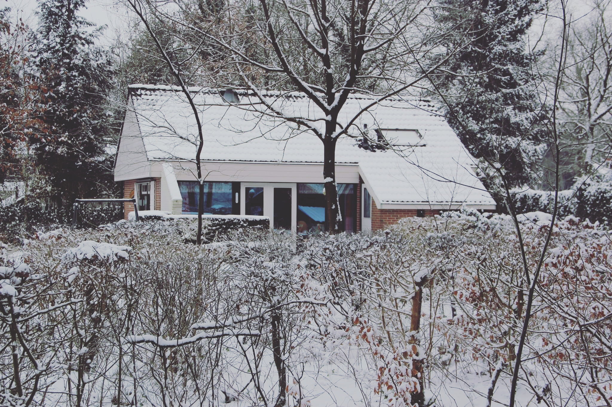 Naturhäuschen in Appelscha