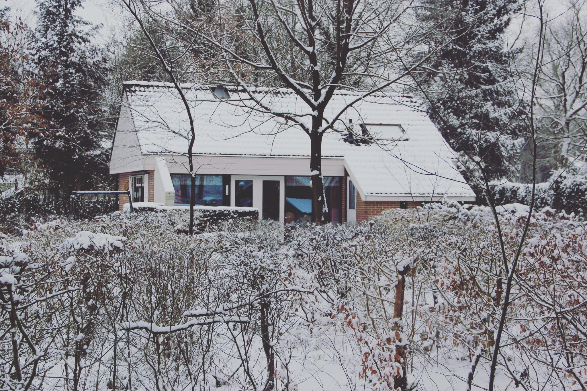 Nature house in Appelscha