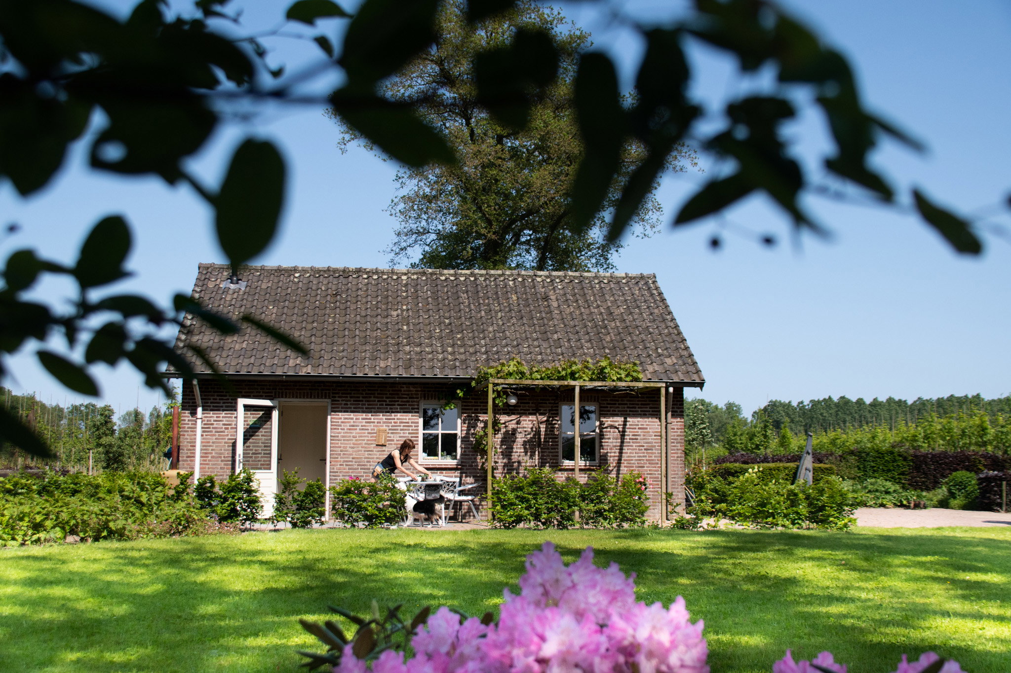Natuurhuisje in Boxtel