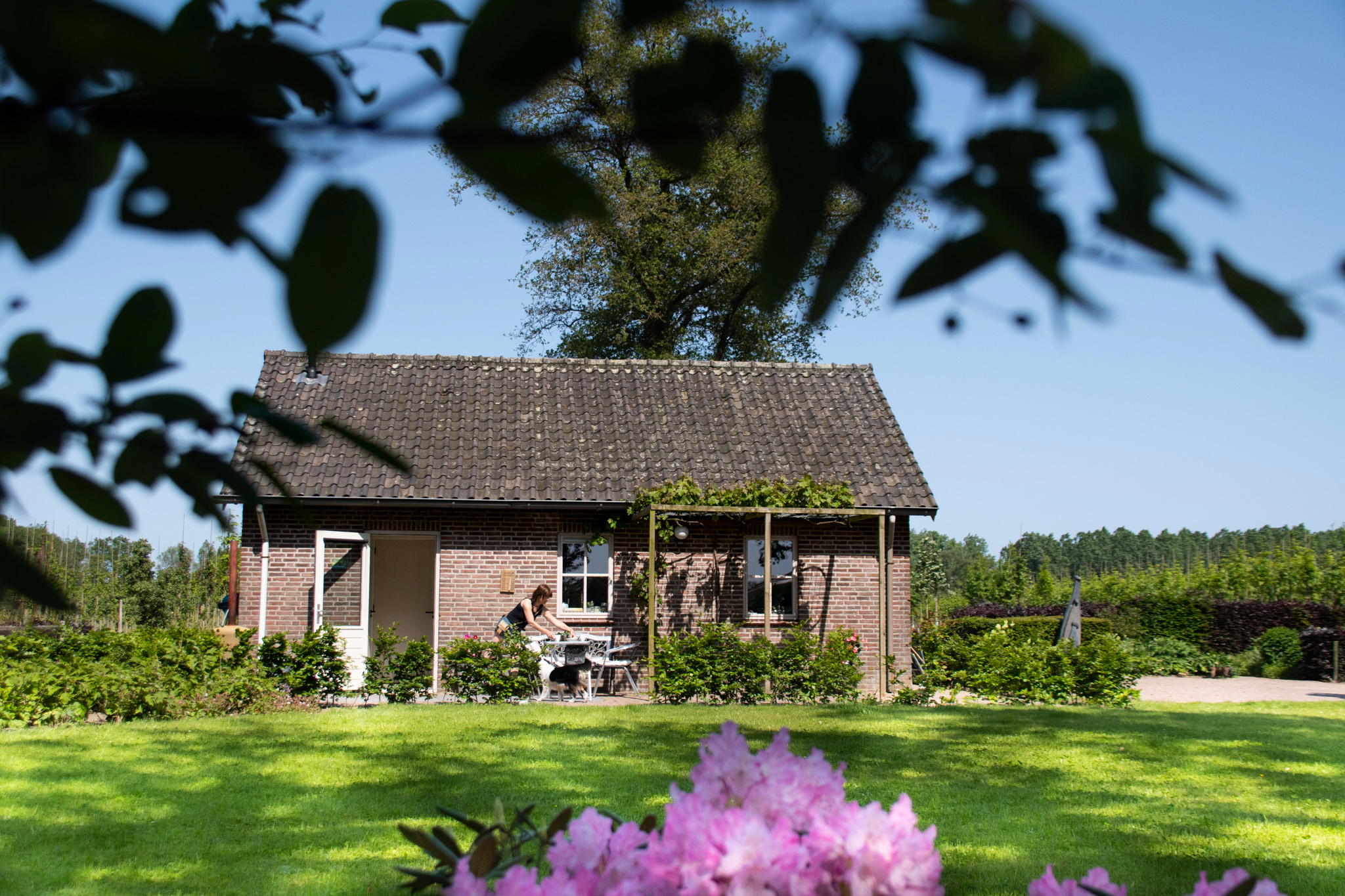 Natuurhuisje in Boxtel