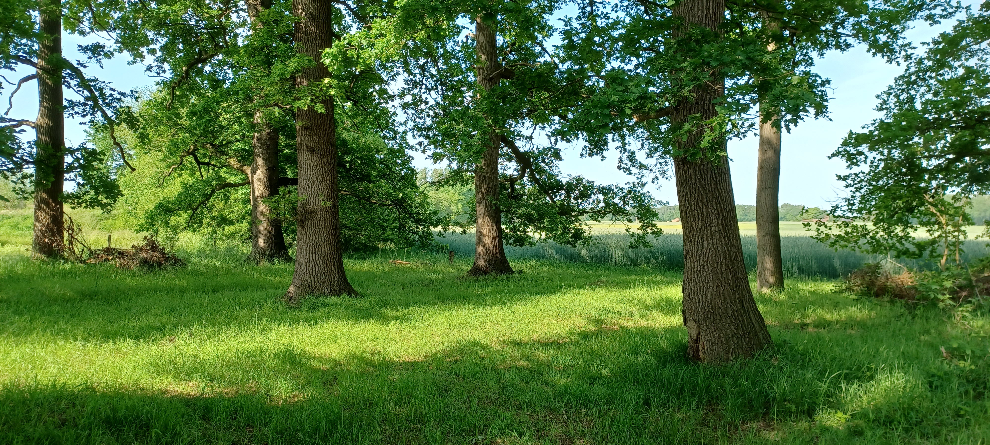 - image: 28