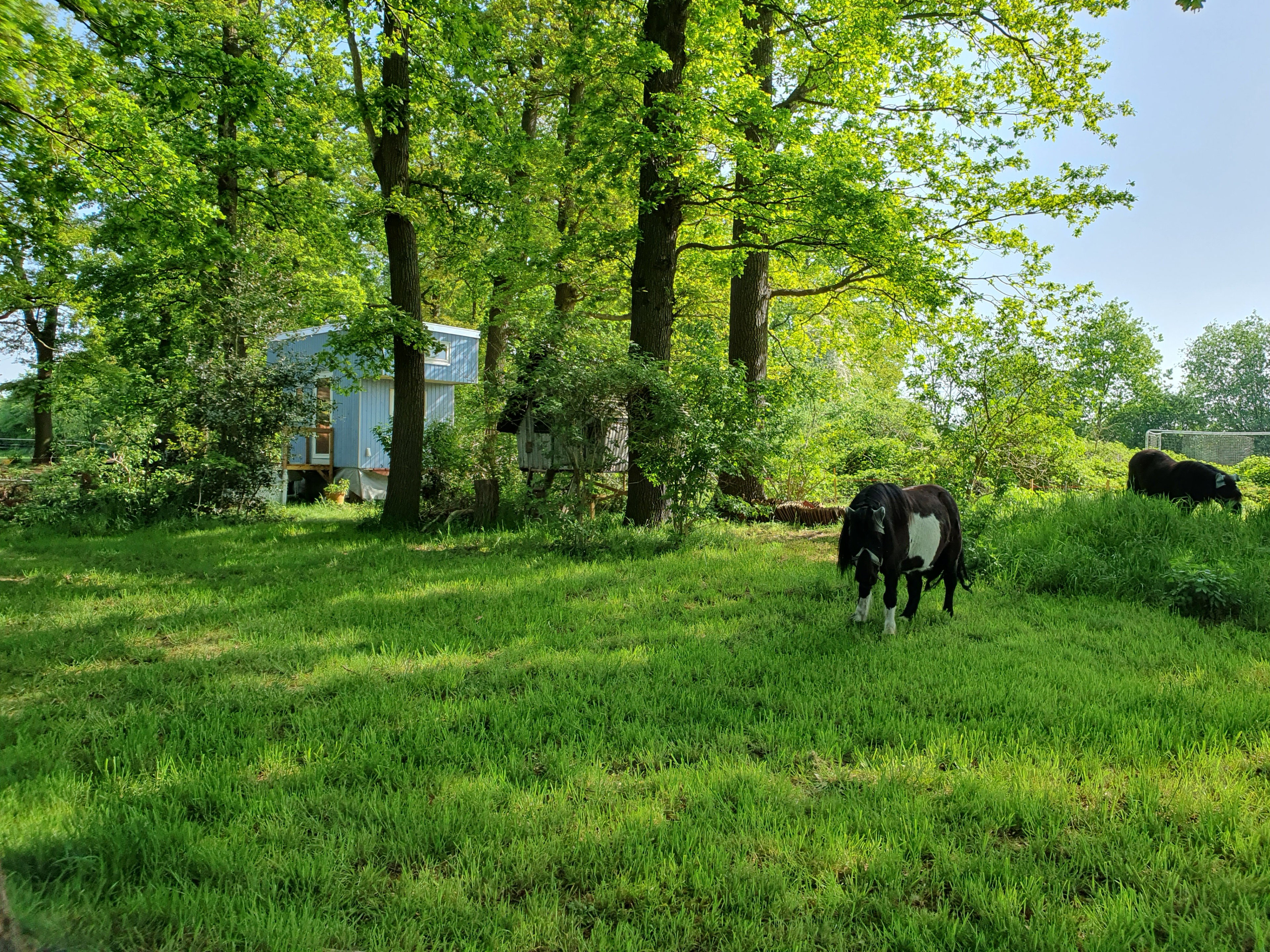 Naturhäuschen in Warmsen